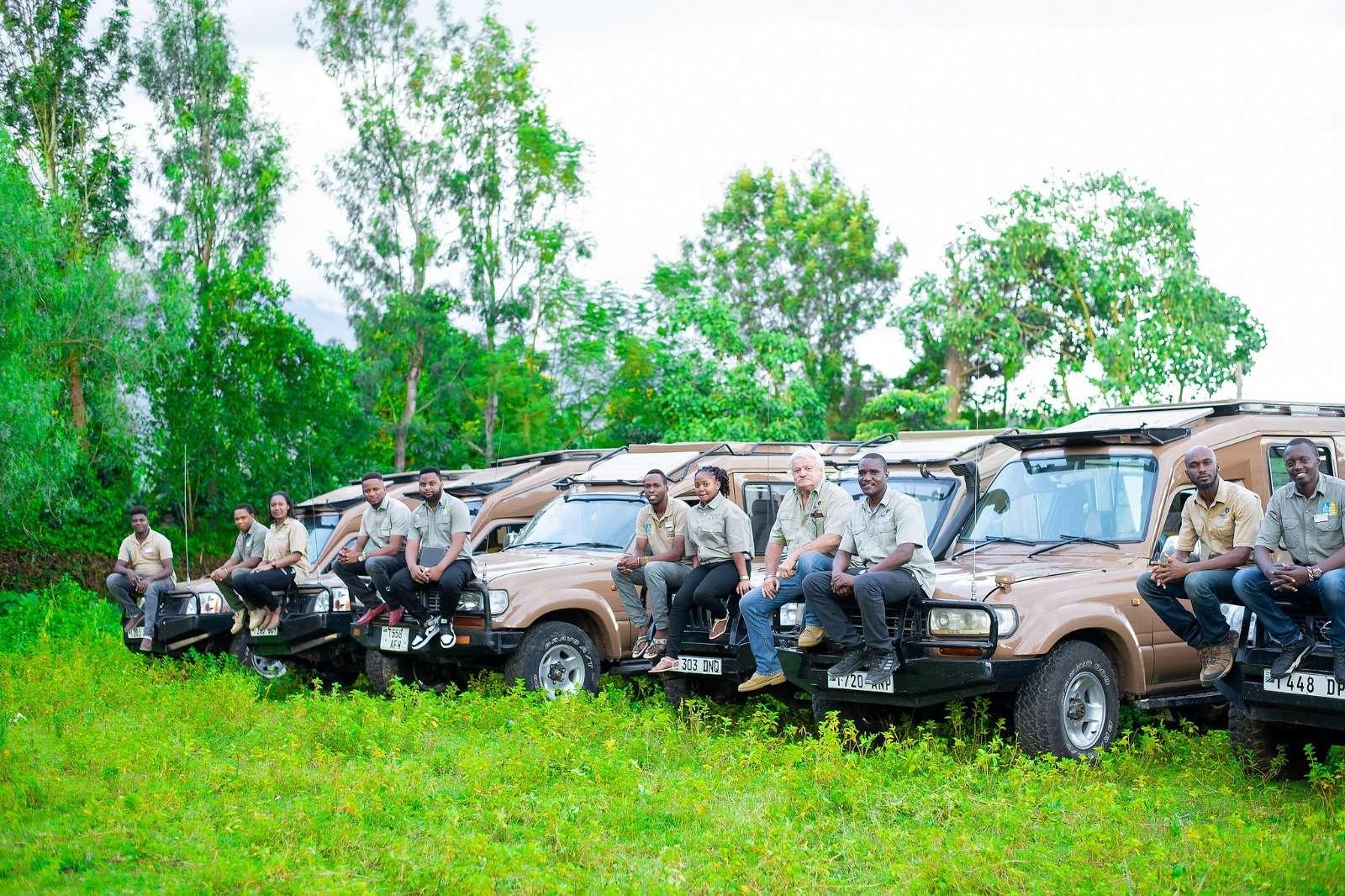 Colagem de mídia