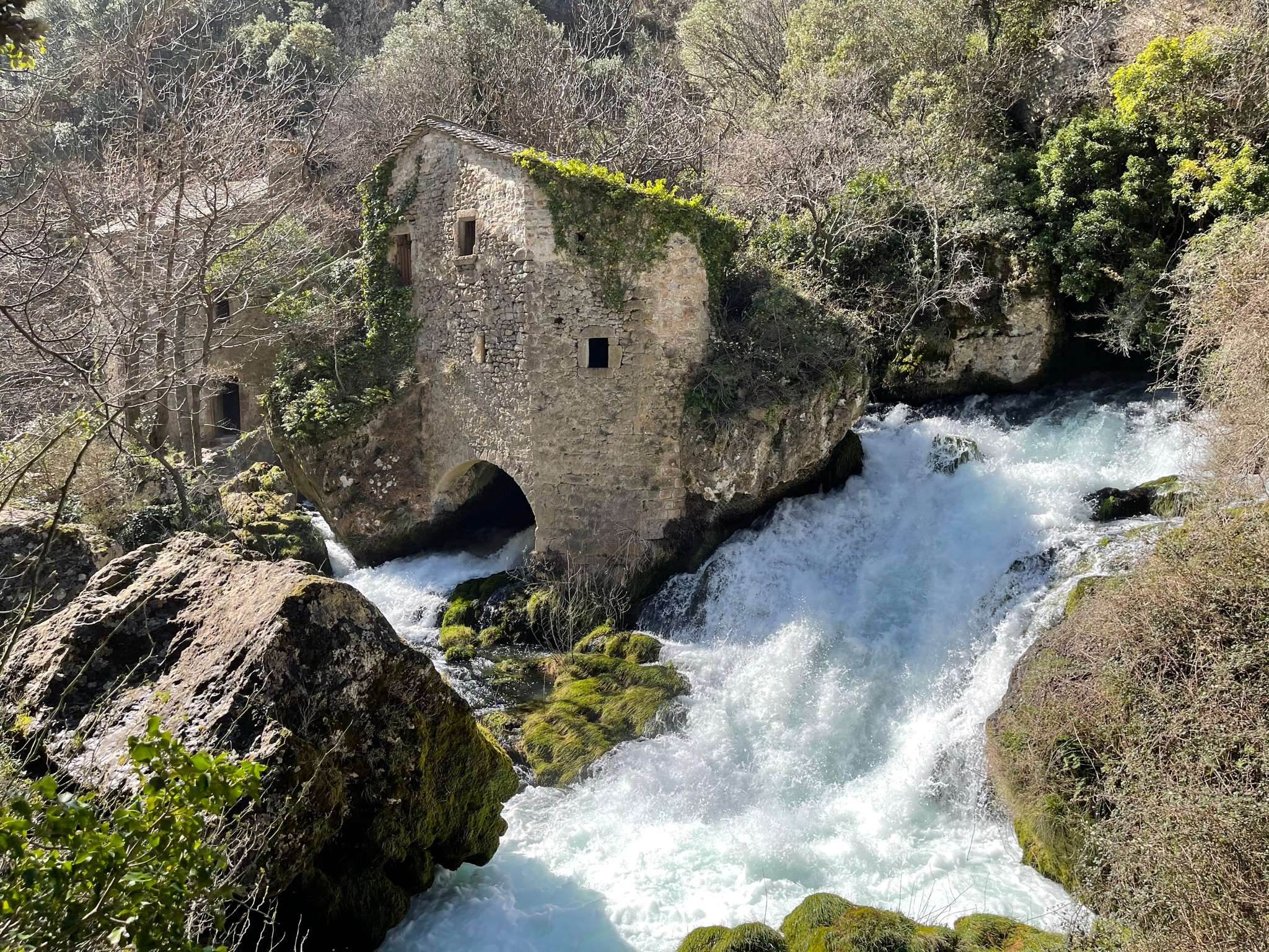 Galería de fotos para redes