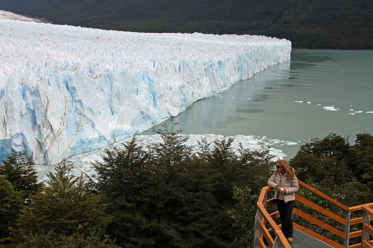 Galería de fotos para redes