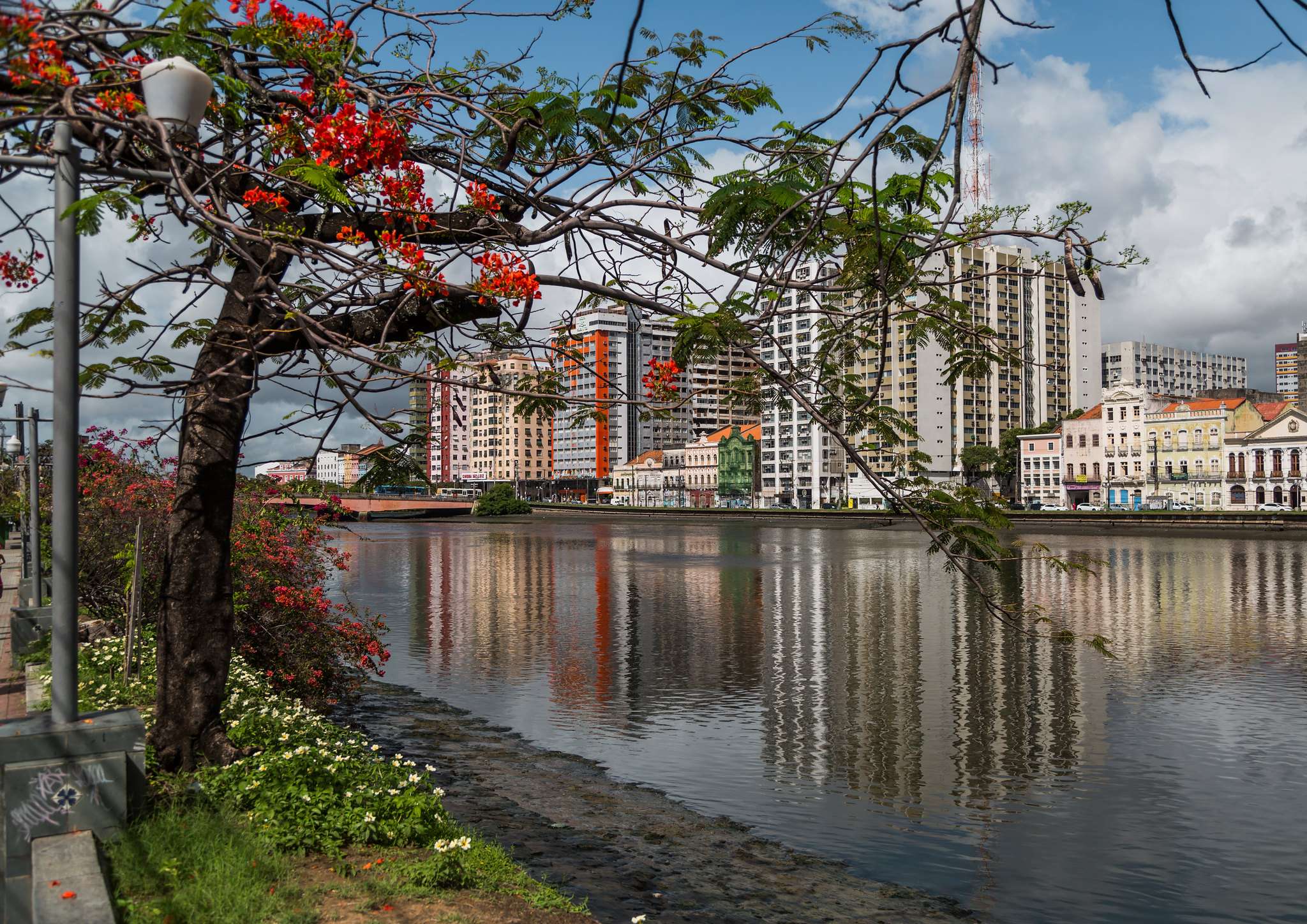 Colagem de mídia
