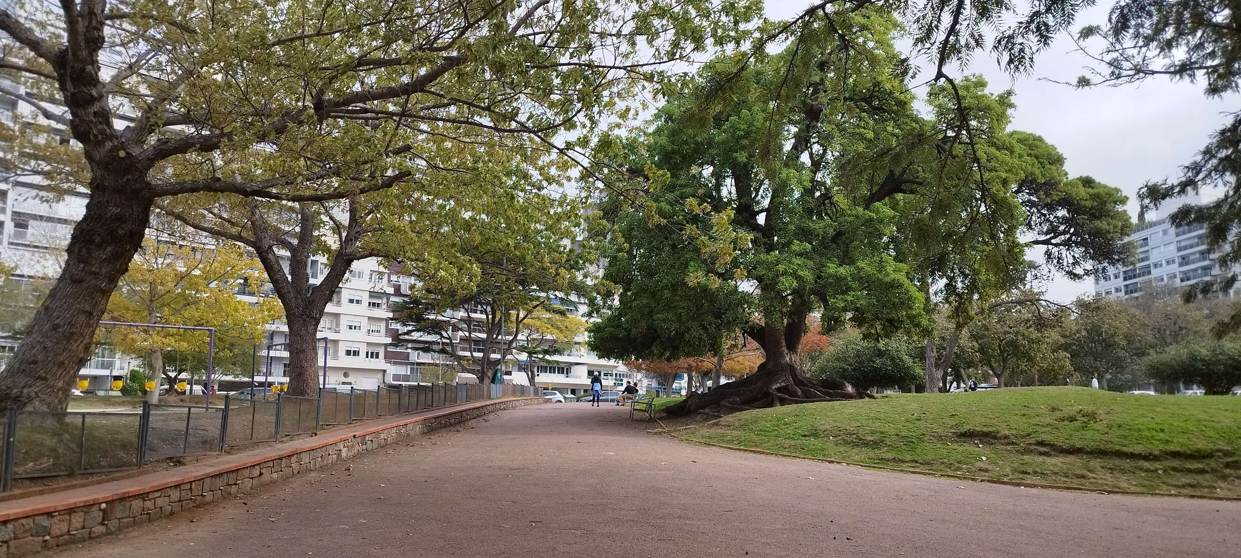 Colagem de mídia