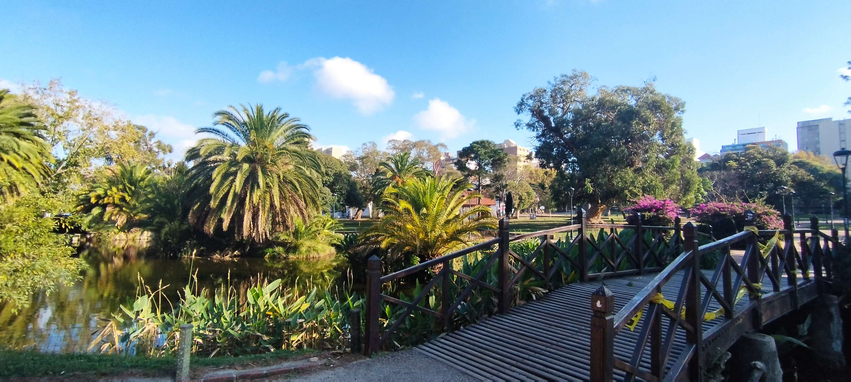 Colagem de mídia