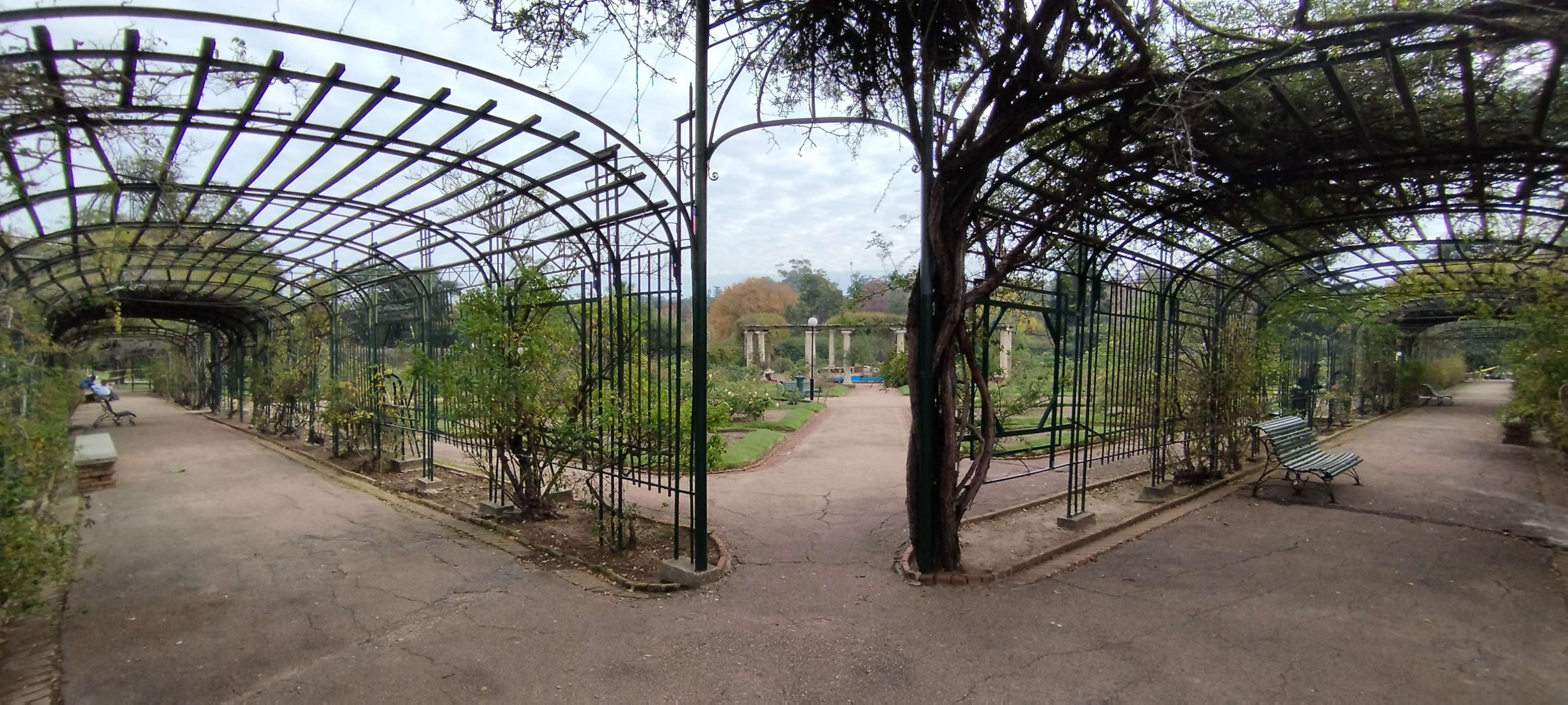 Colagem de mídia