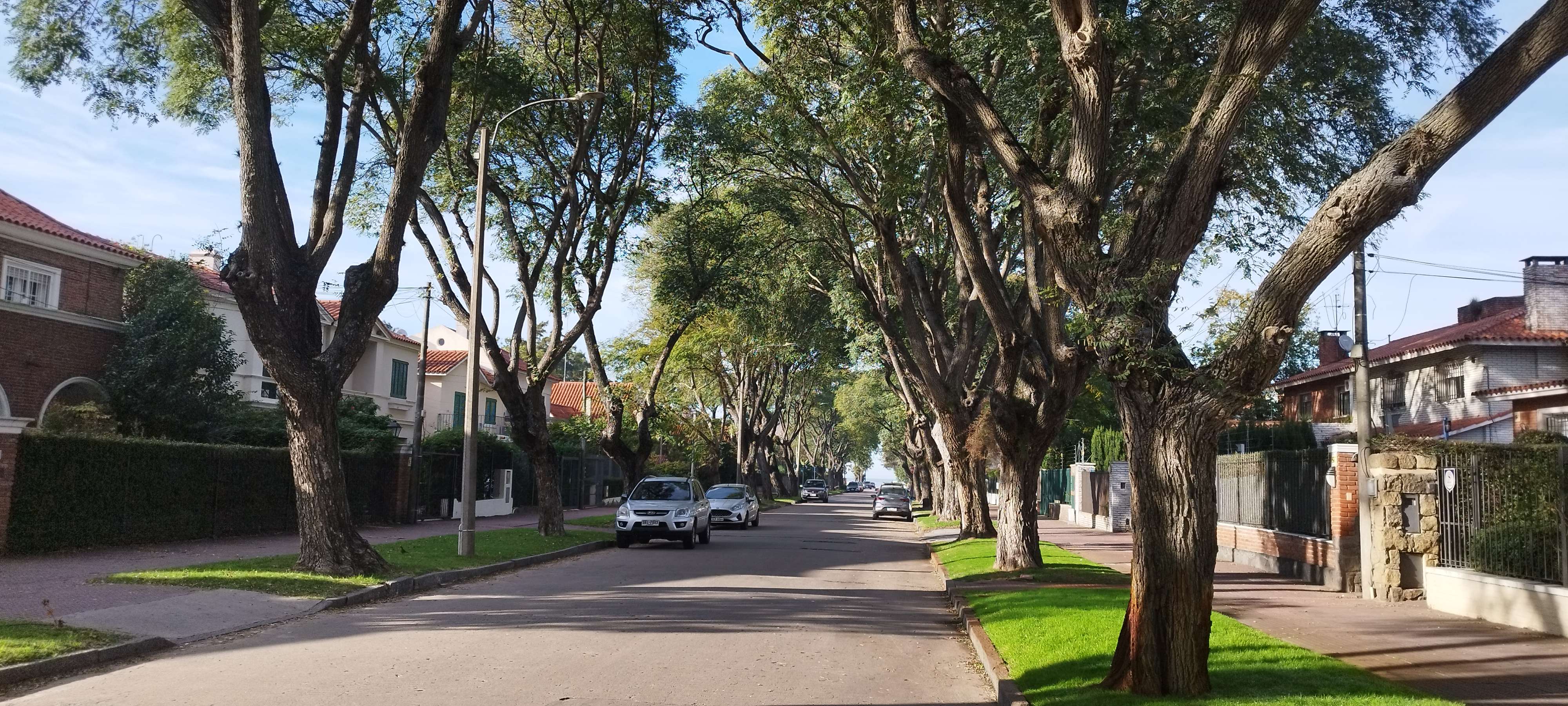 Colagem de mídia