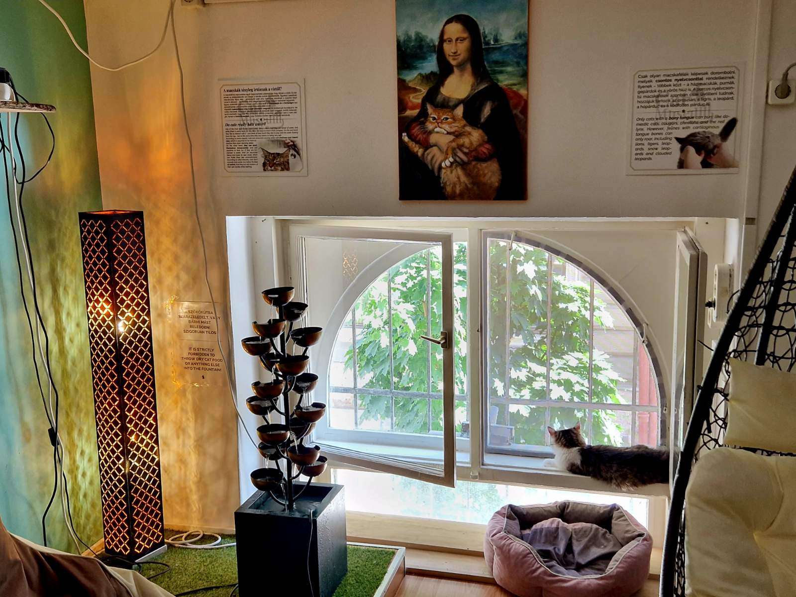 Kolaż medialny