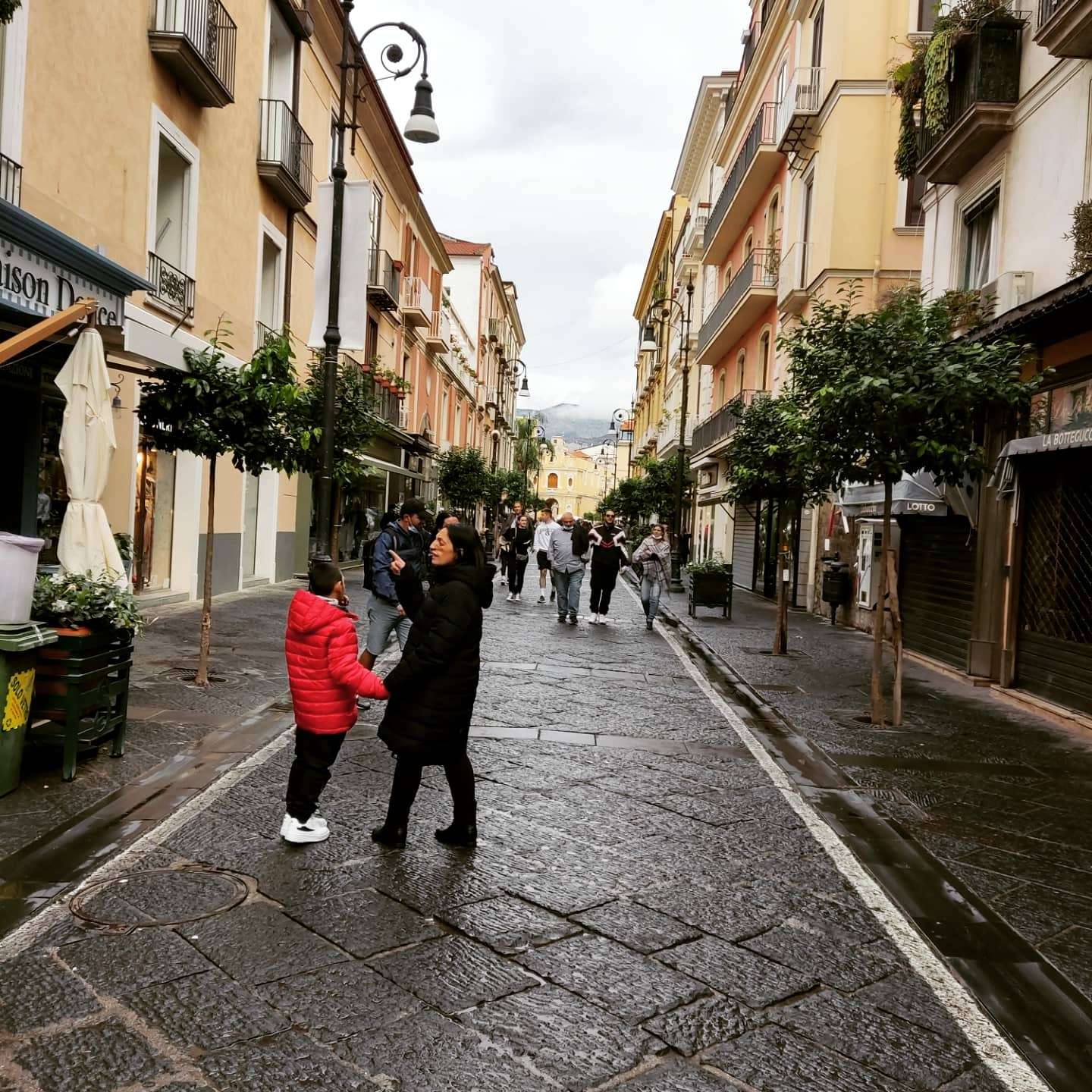Galería de fotos para redes