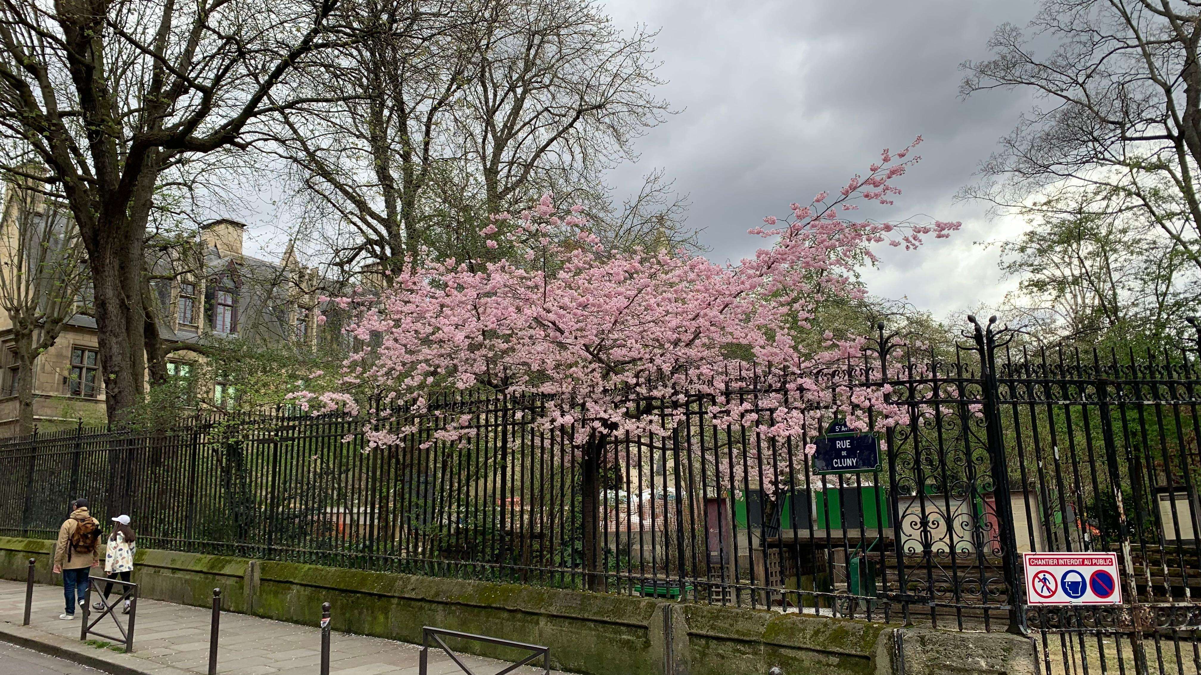 Galerie média