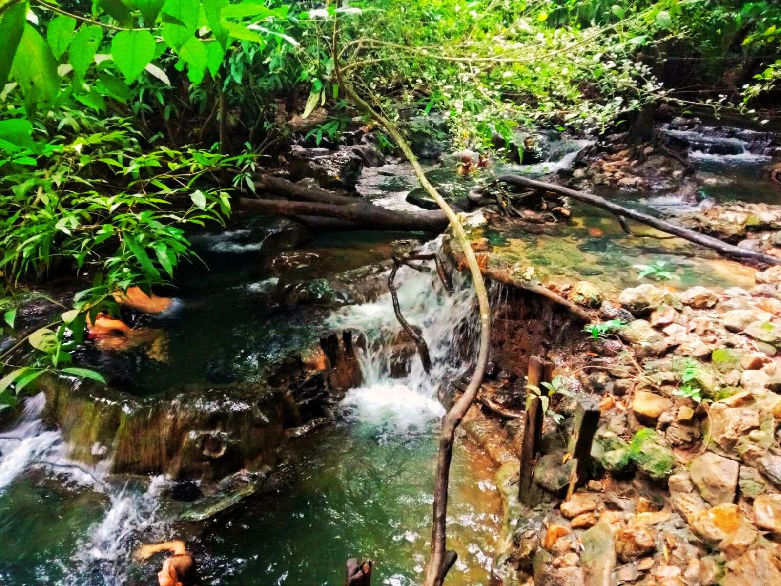 Colagem de mídia