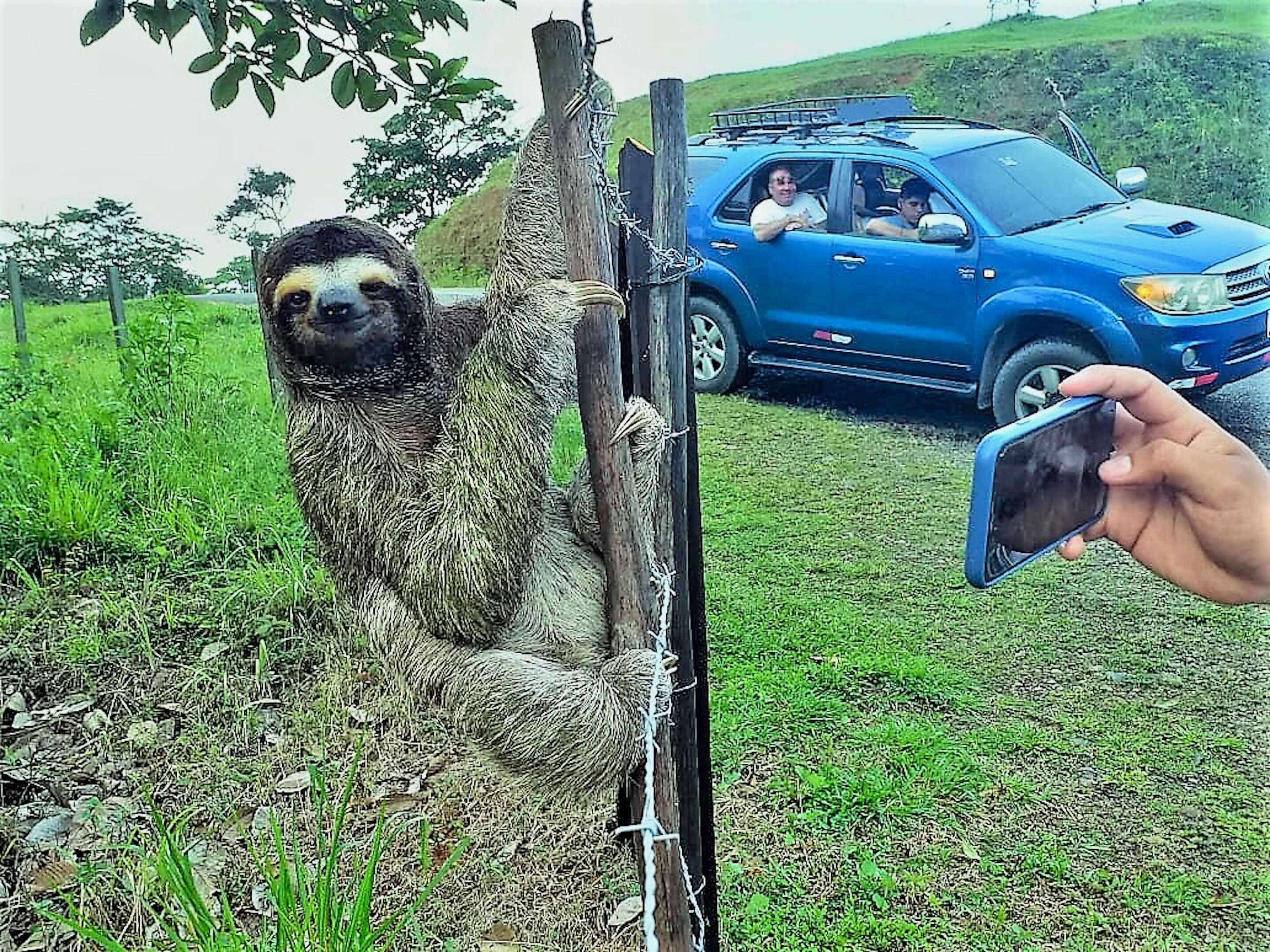 Colagem de mídia