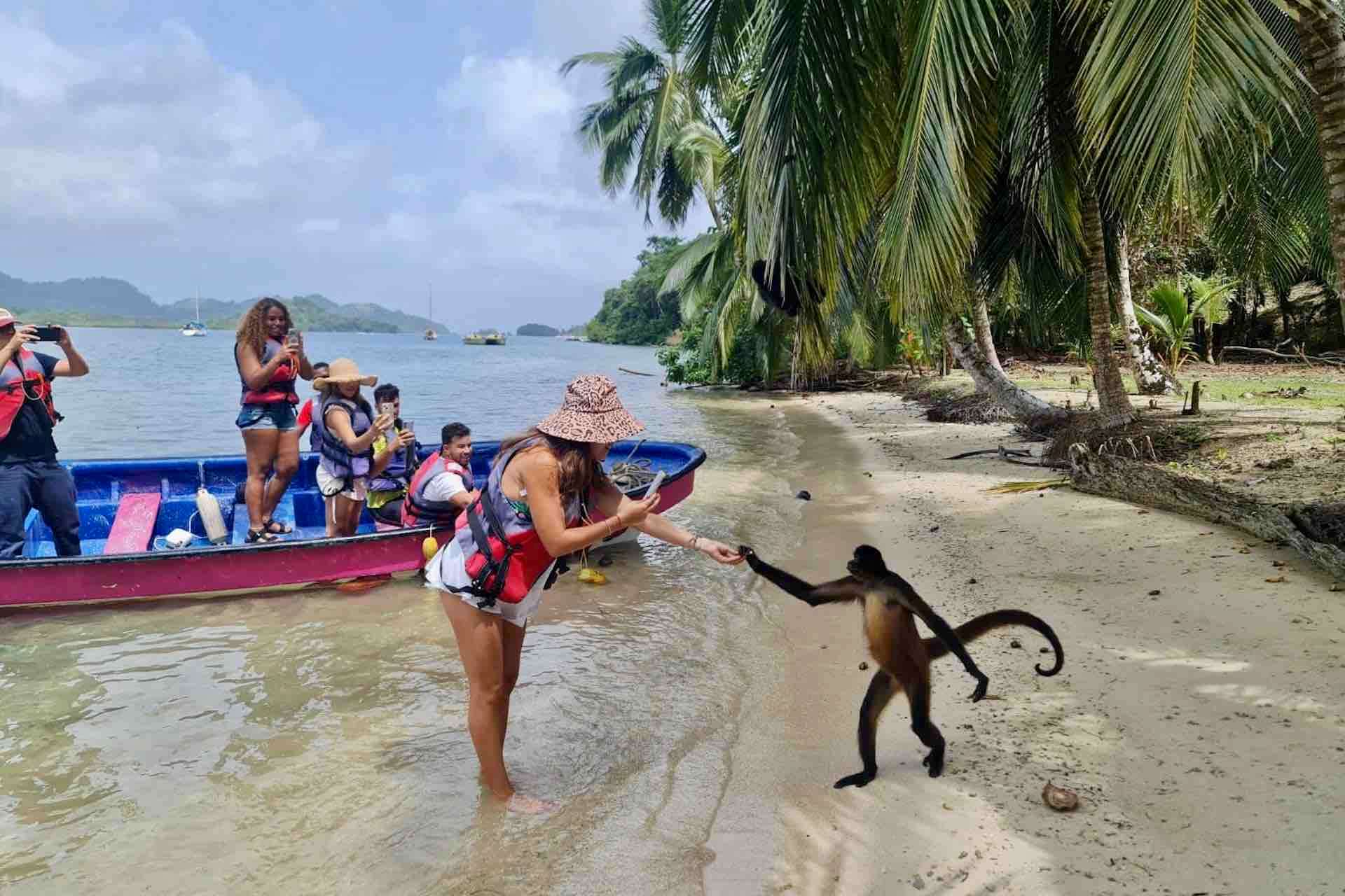Colagem de mídia