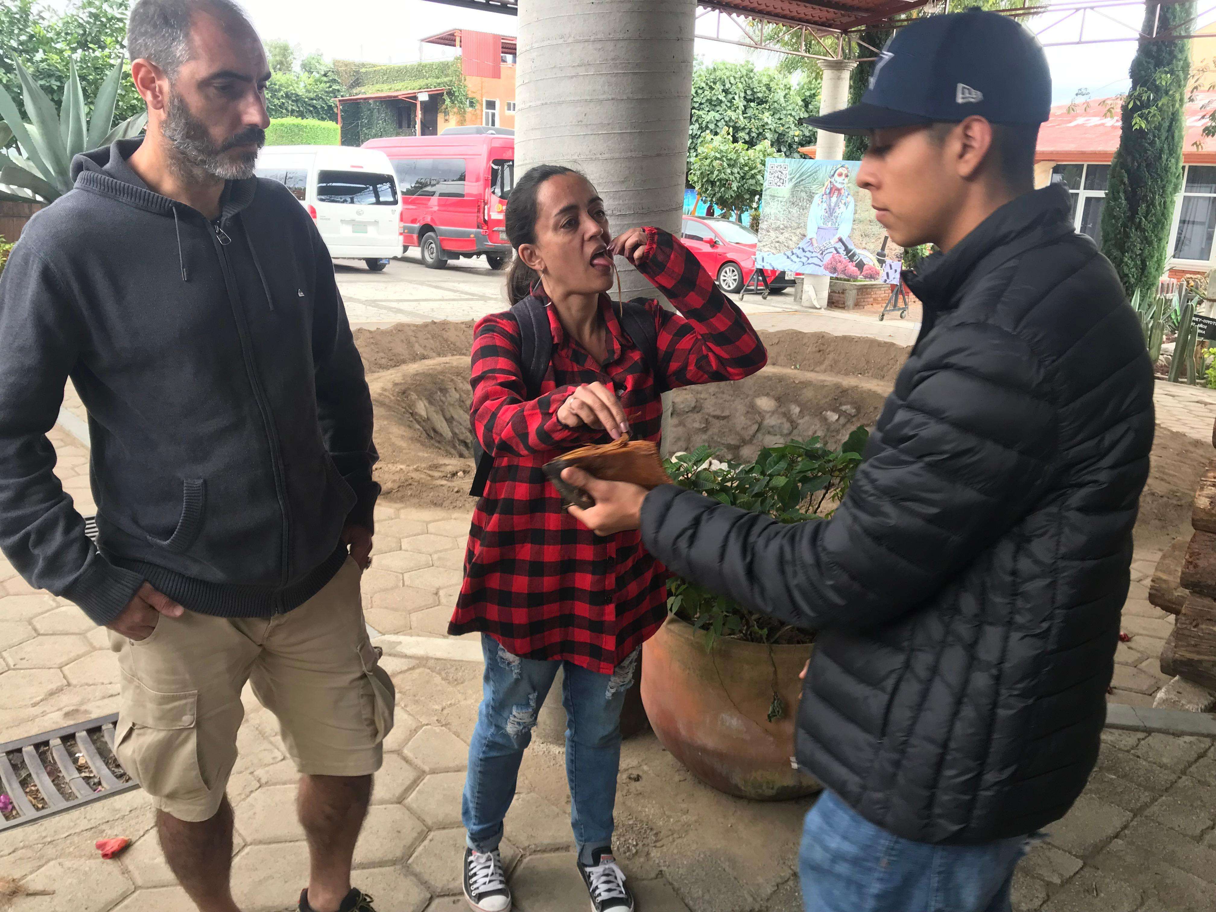 Galería de fotos para redes