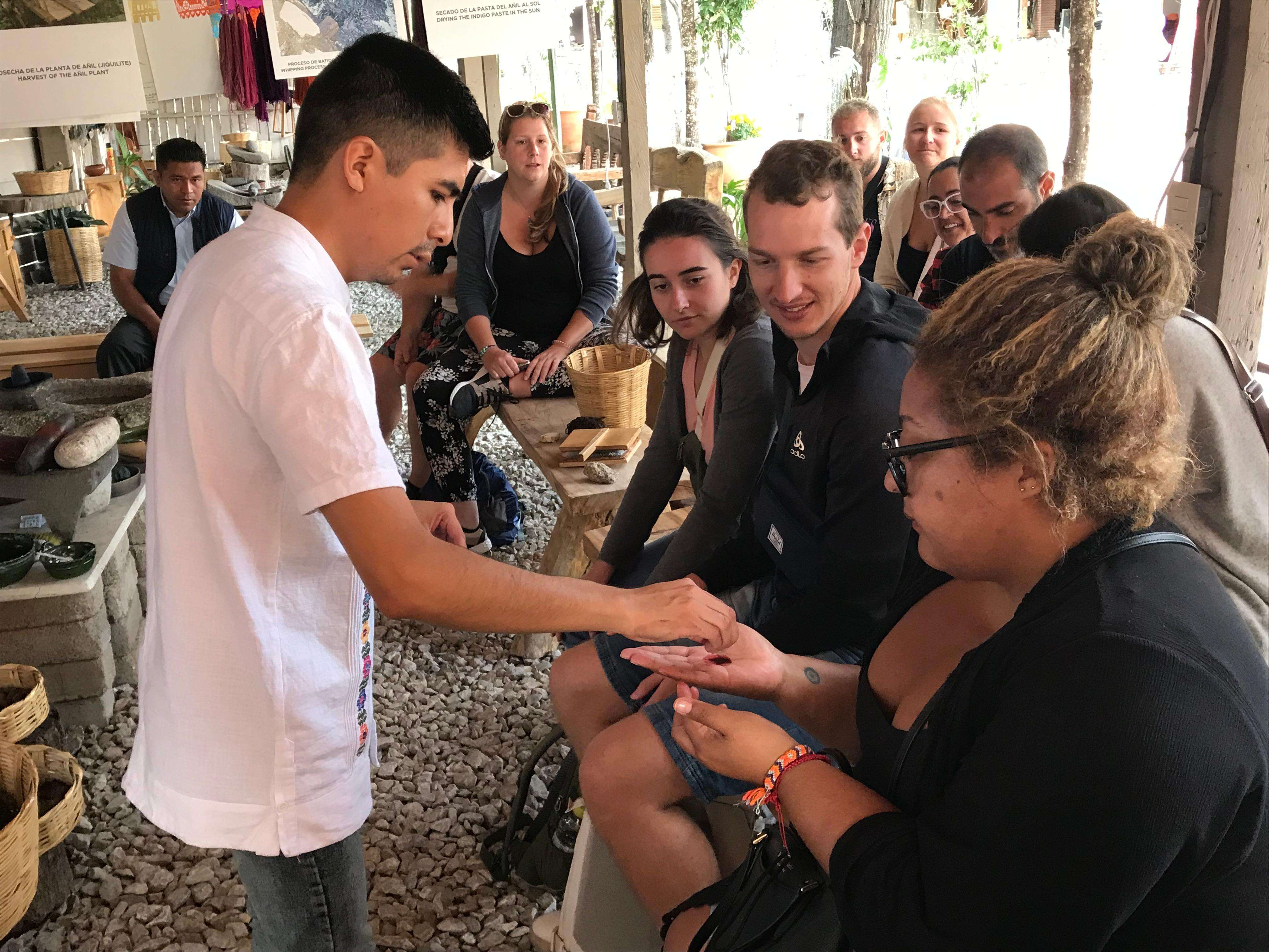 Galería de fotos para redes