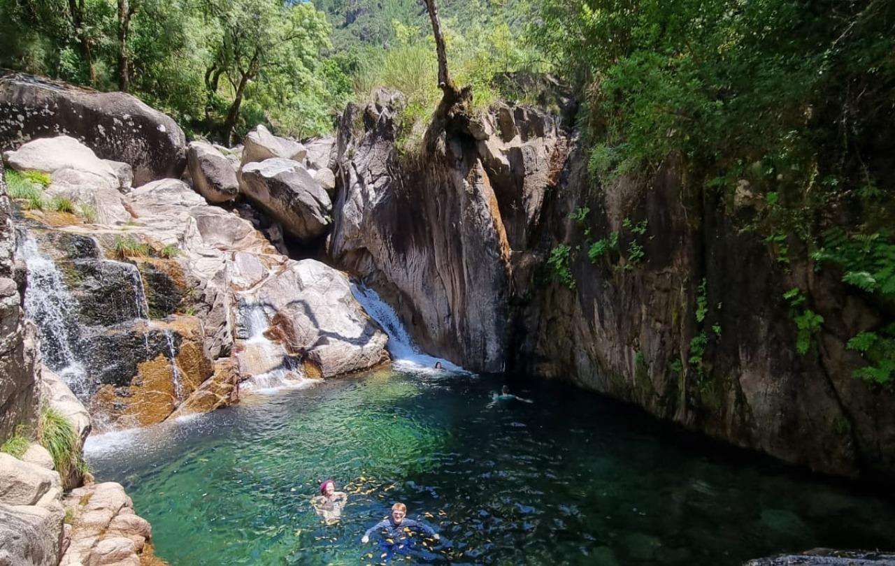 Colagem de mídia