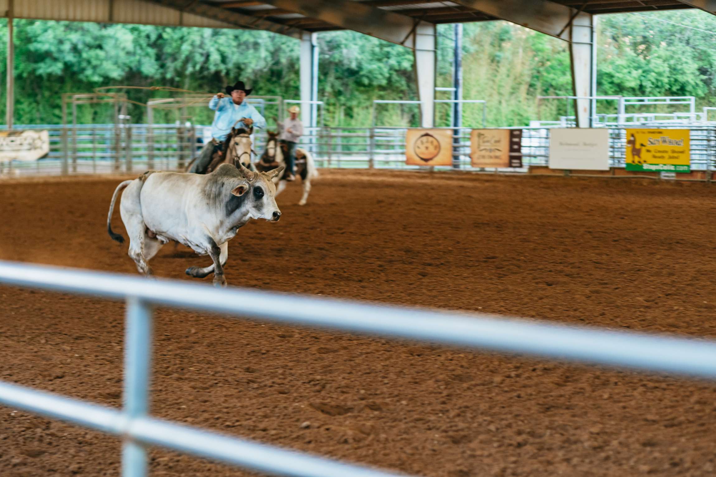 Bulverde: Saturday Night Rodeo General Admission Ticket | GetYourGuide