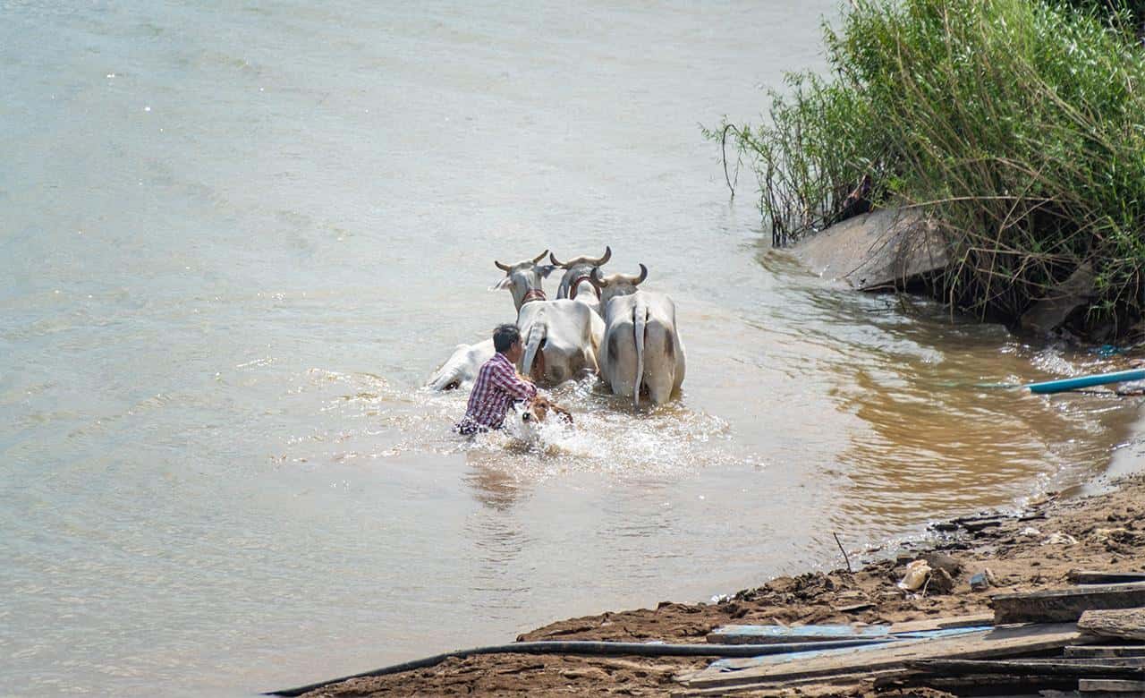 Colagem de mídia