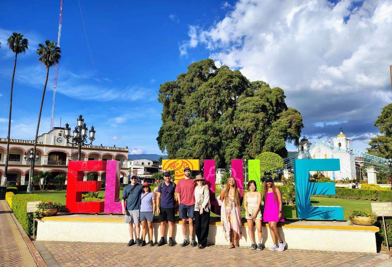 Galería de fotos para redes