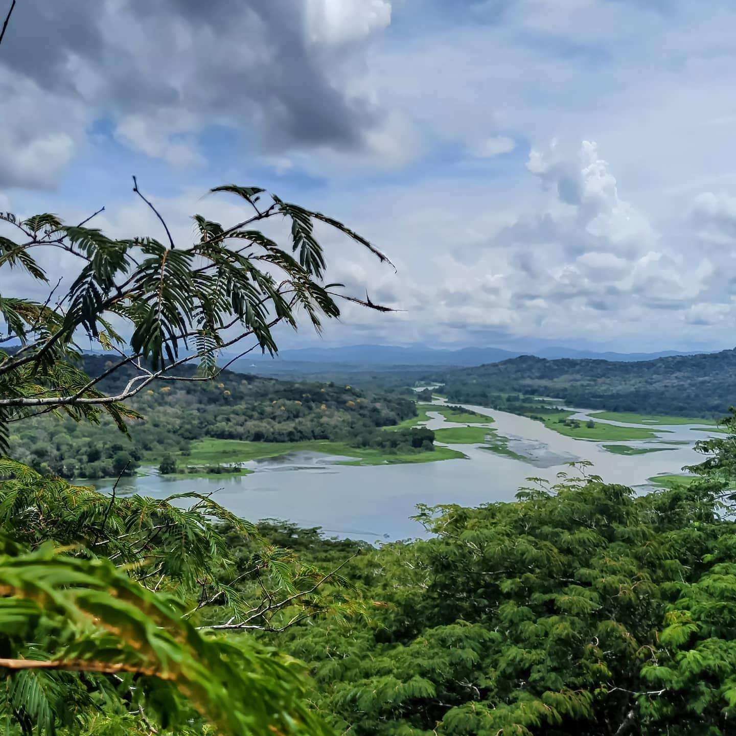 Colagem de mídia