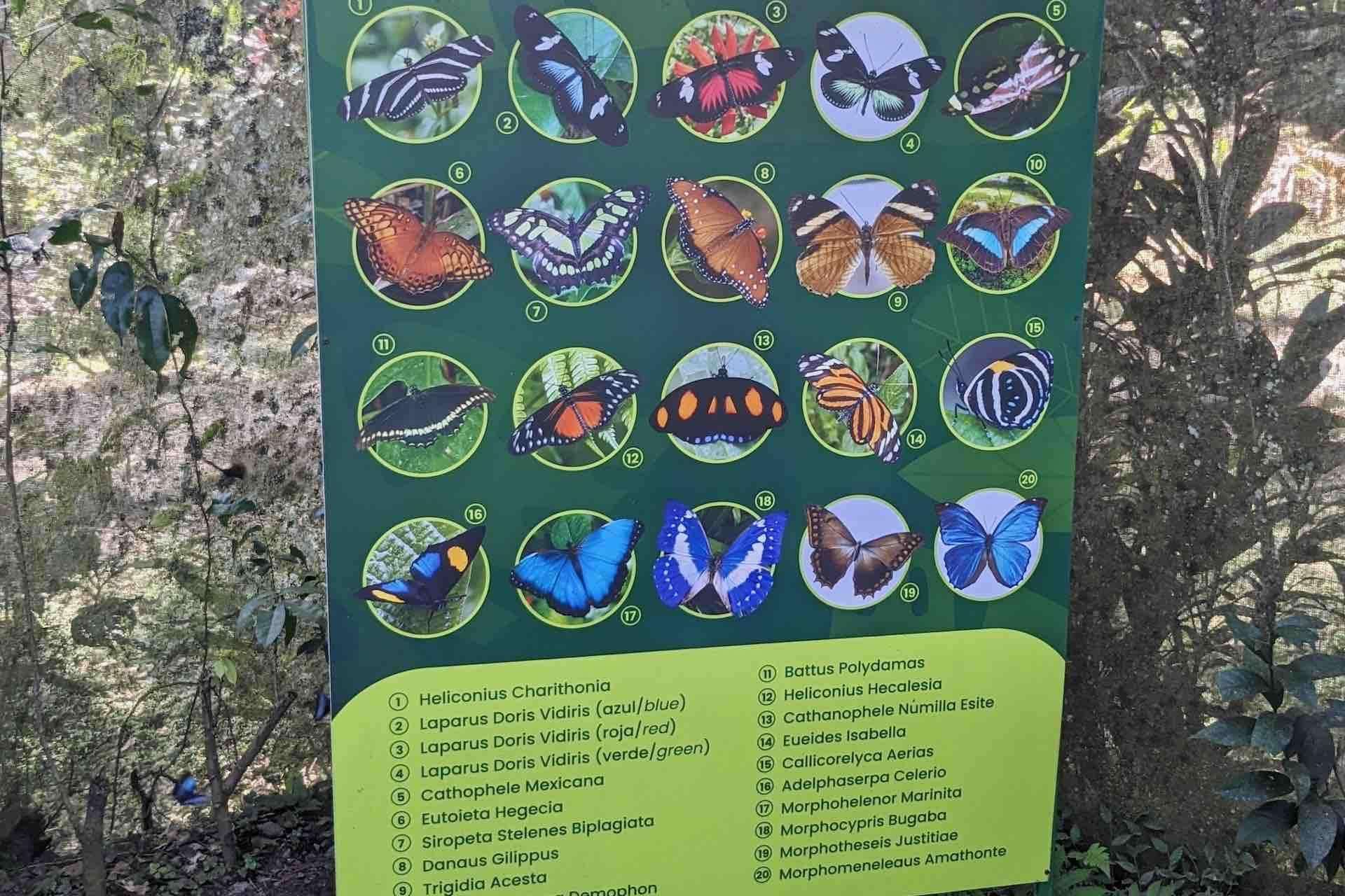 Colagem de mídia