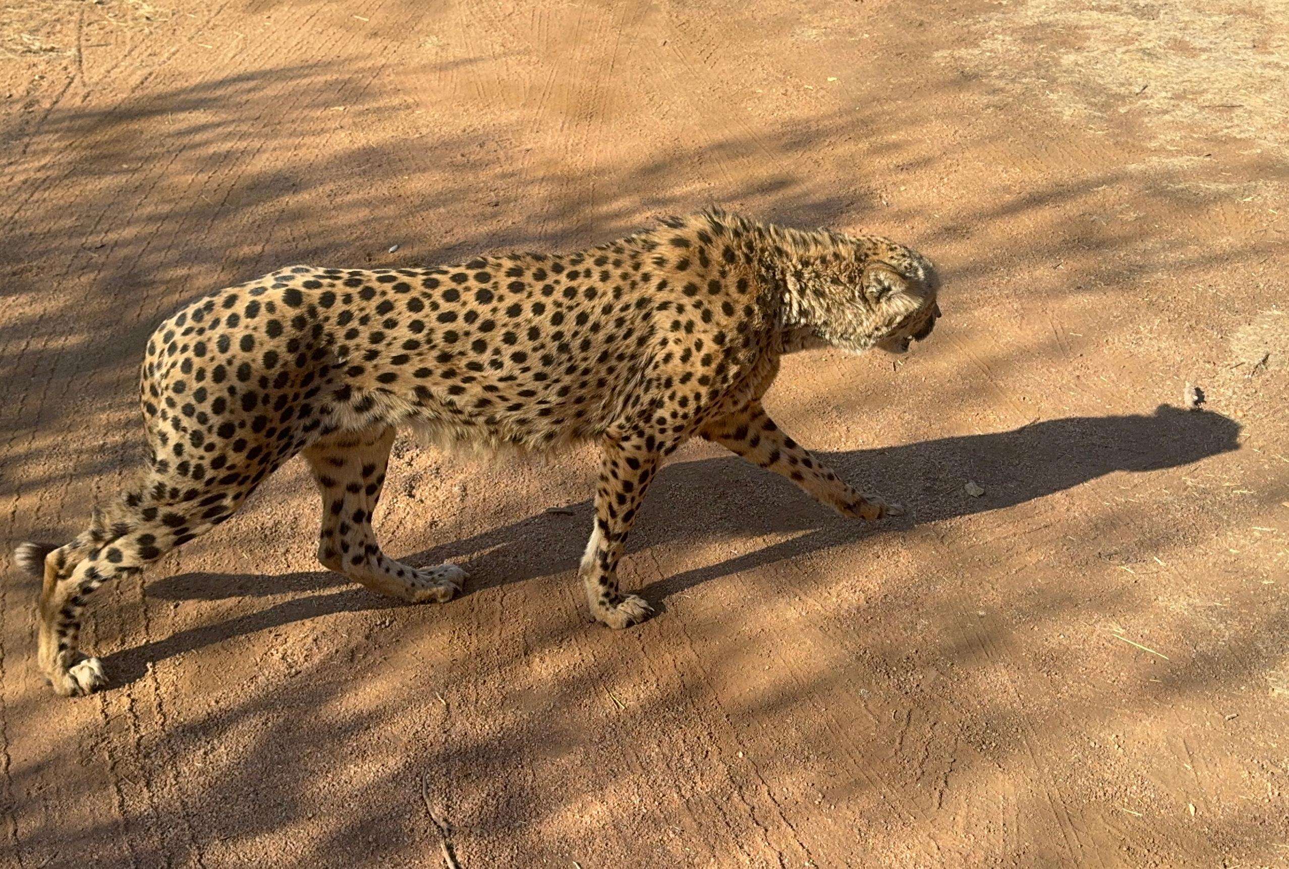 メディア コラージュ
