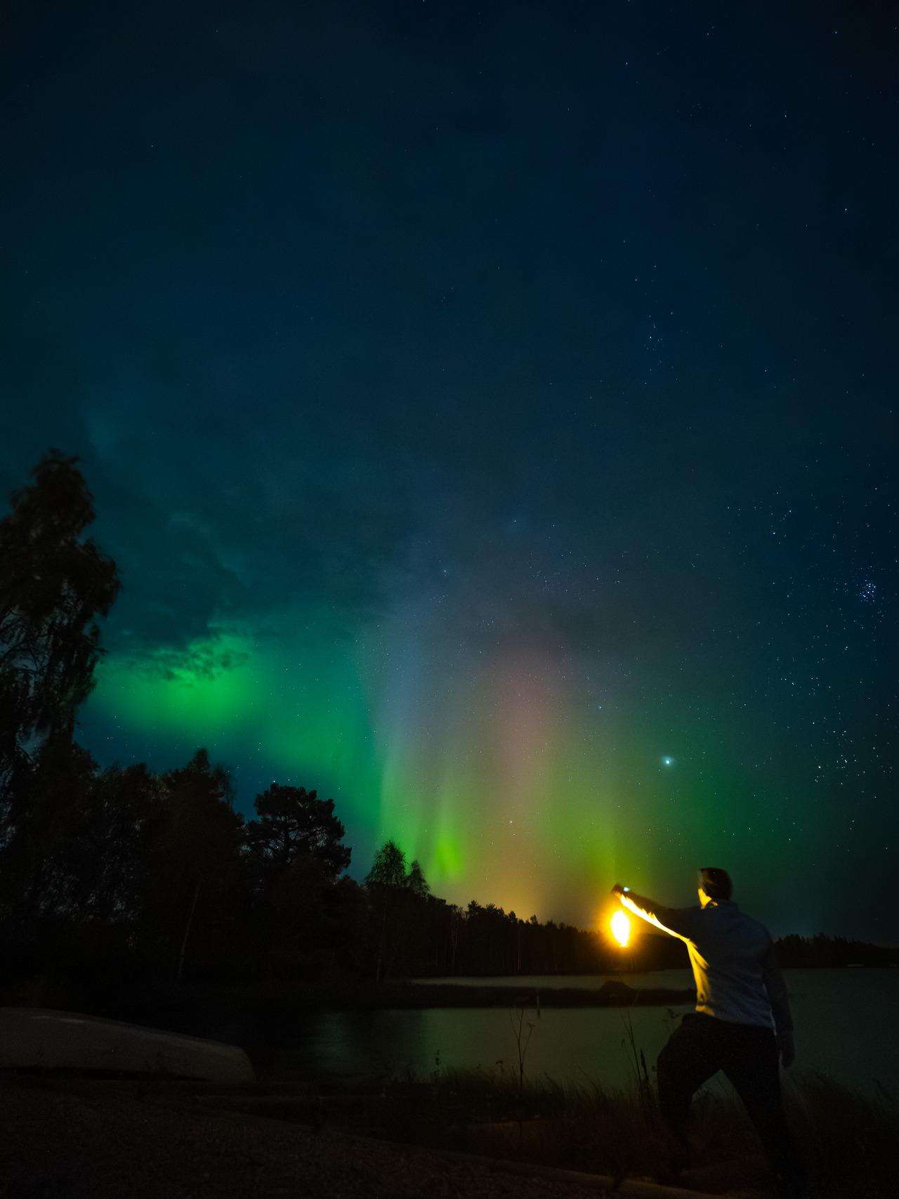 Galería de fotos para redes