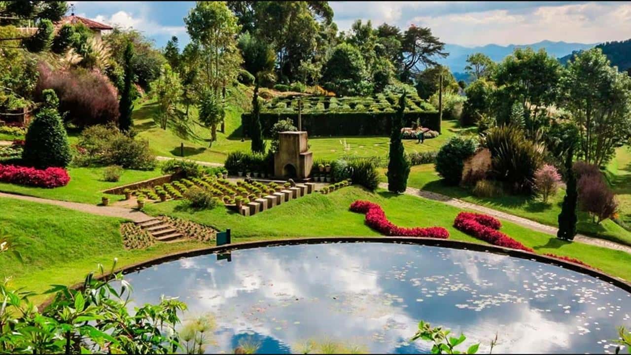 Colagem de mídia