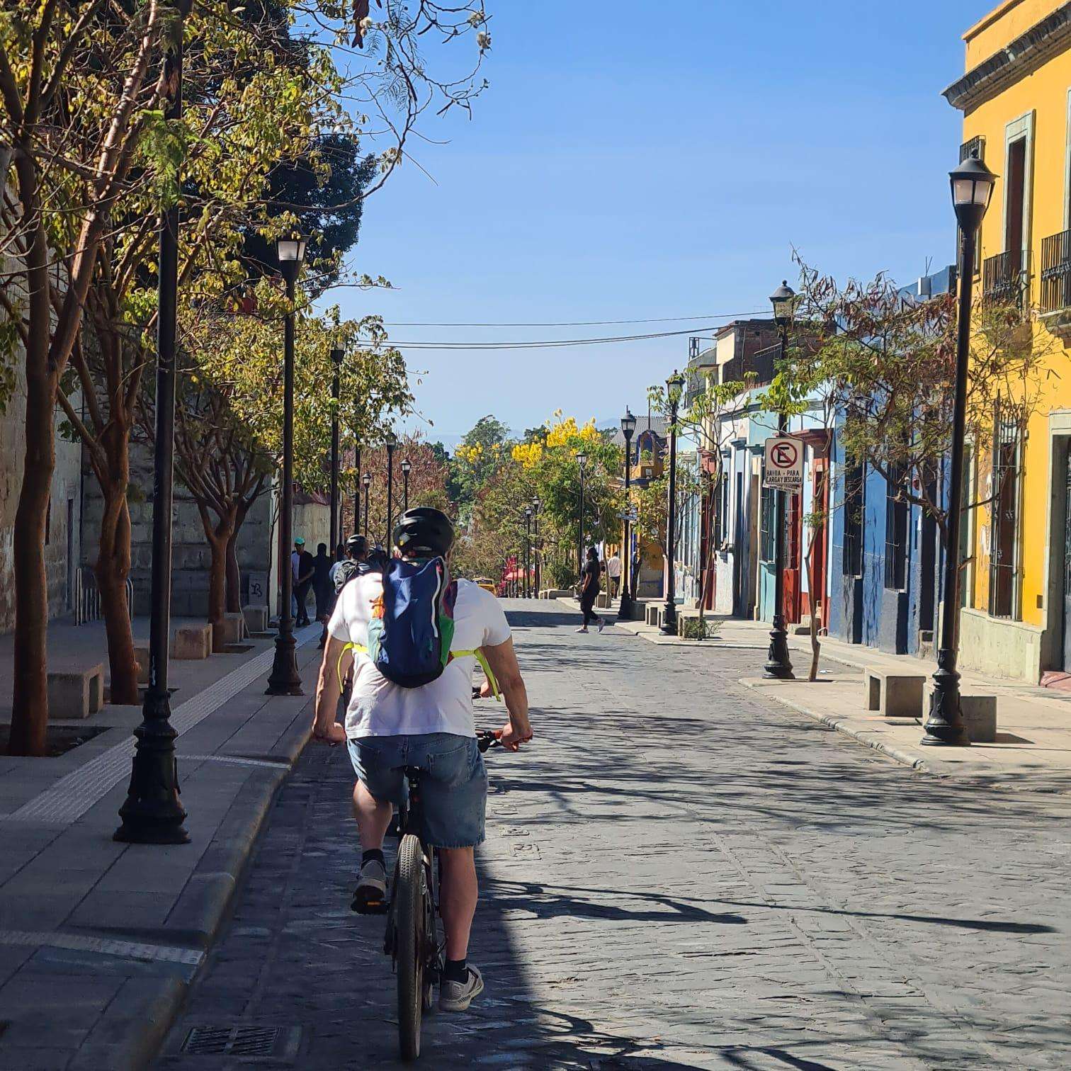 Galería de fotos para redes