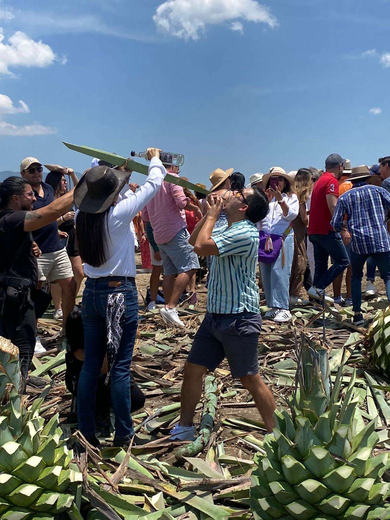 Galería de fotos para redes