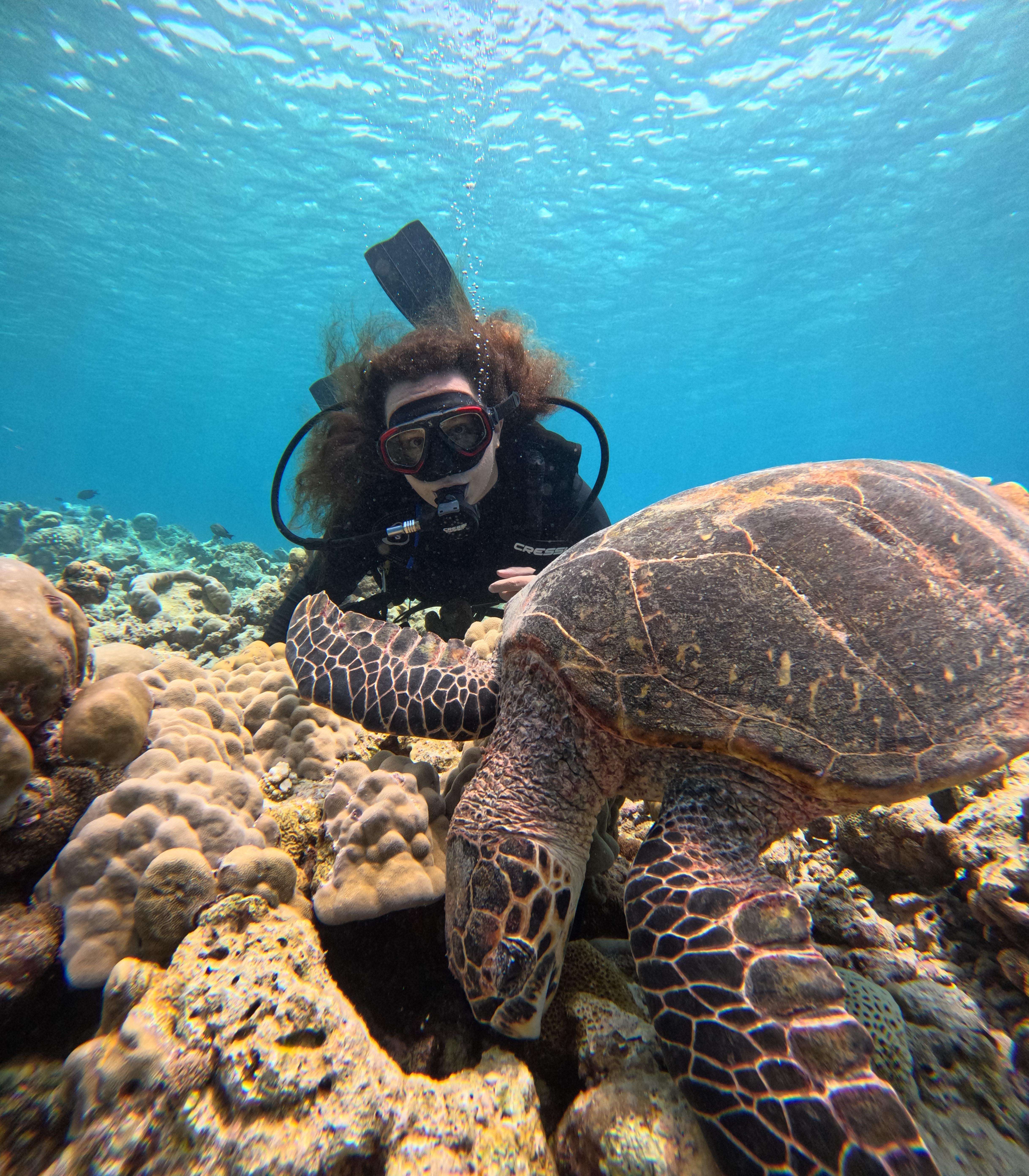 Discover Scuba Diving Class, First-Time Experience in this destination