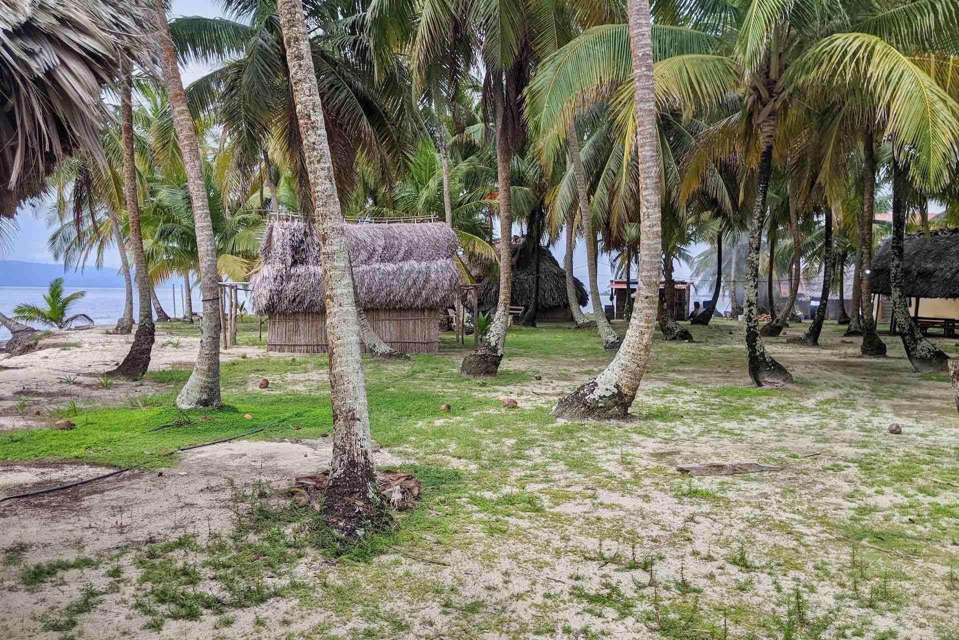 Galería de fotos para redes