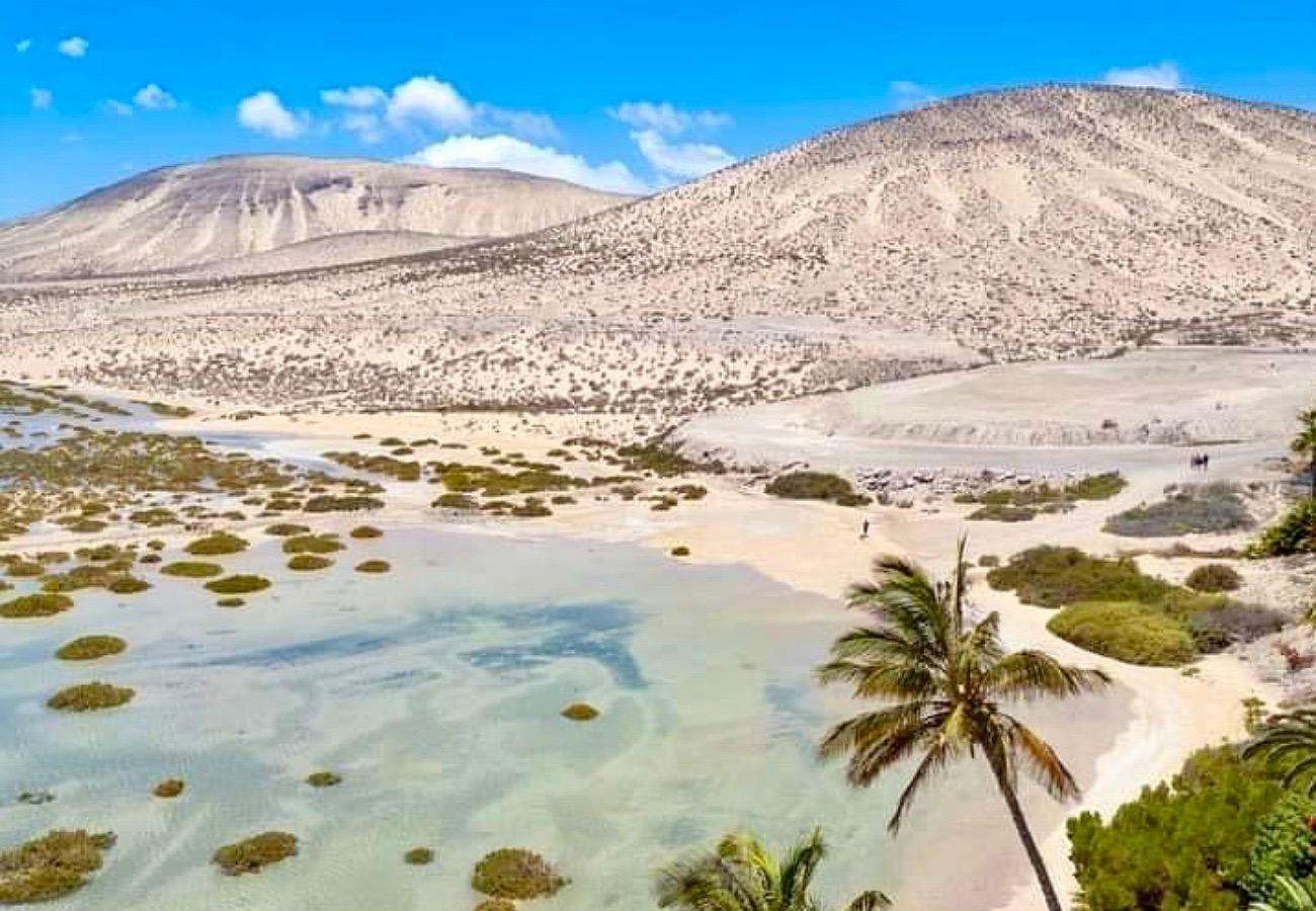 Galería de fotos para redes