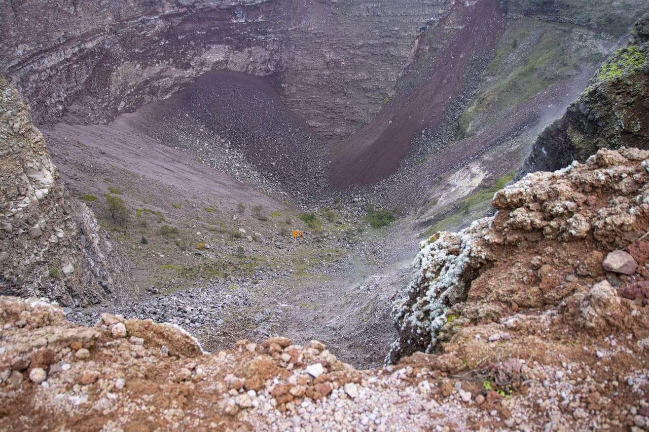 Galería de fotos para redes