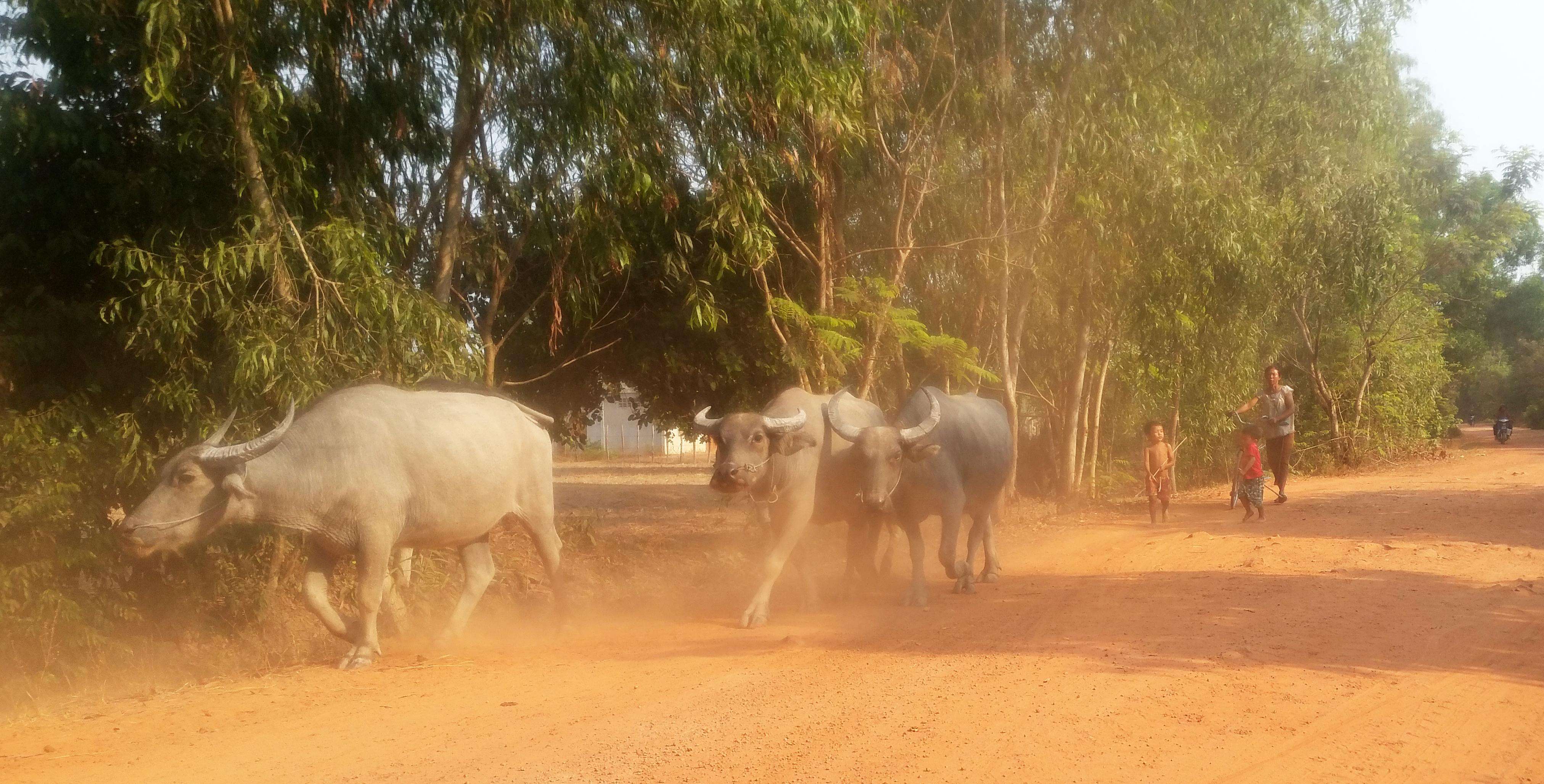 Colagem de mídia