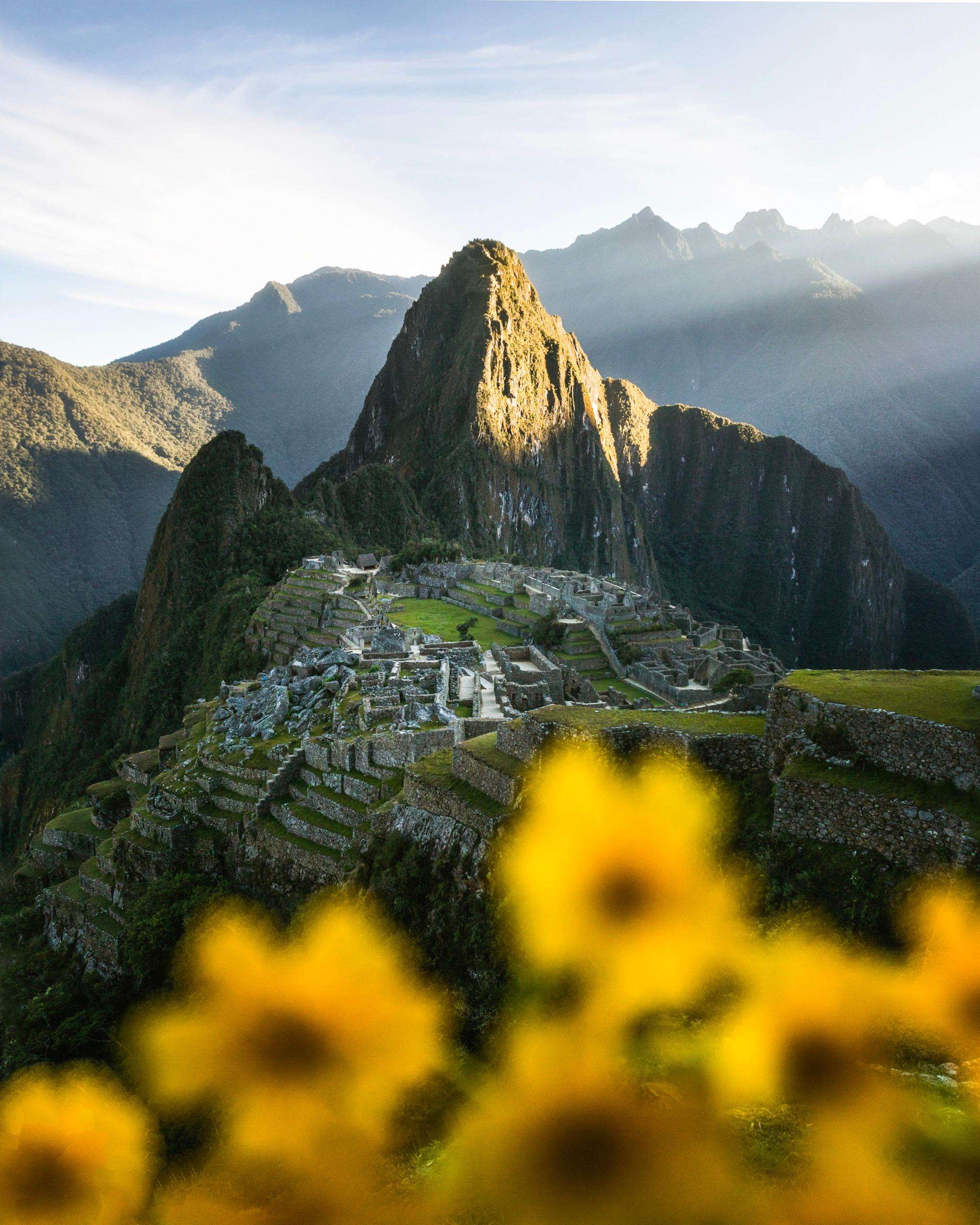 Galería de fotos para redes