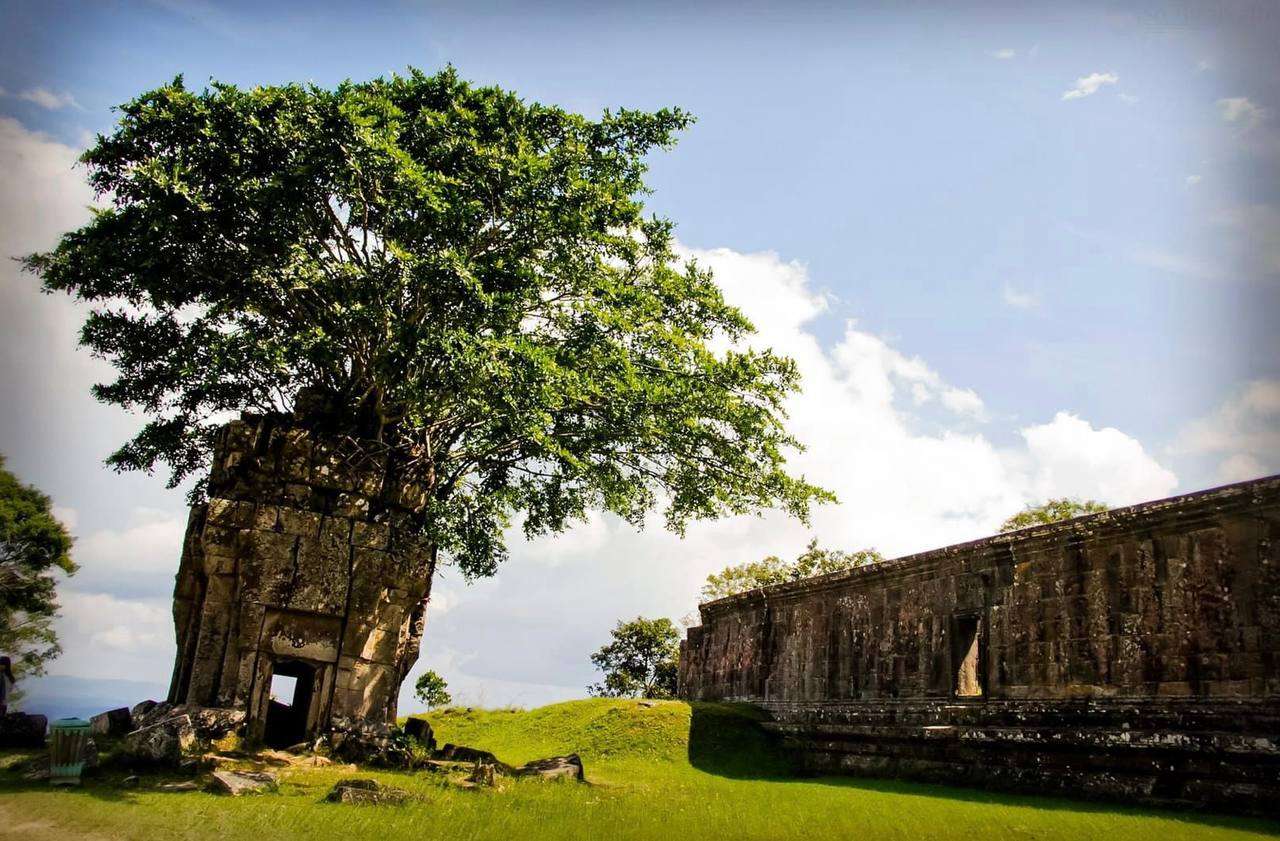 Colagem de mídia
