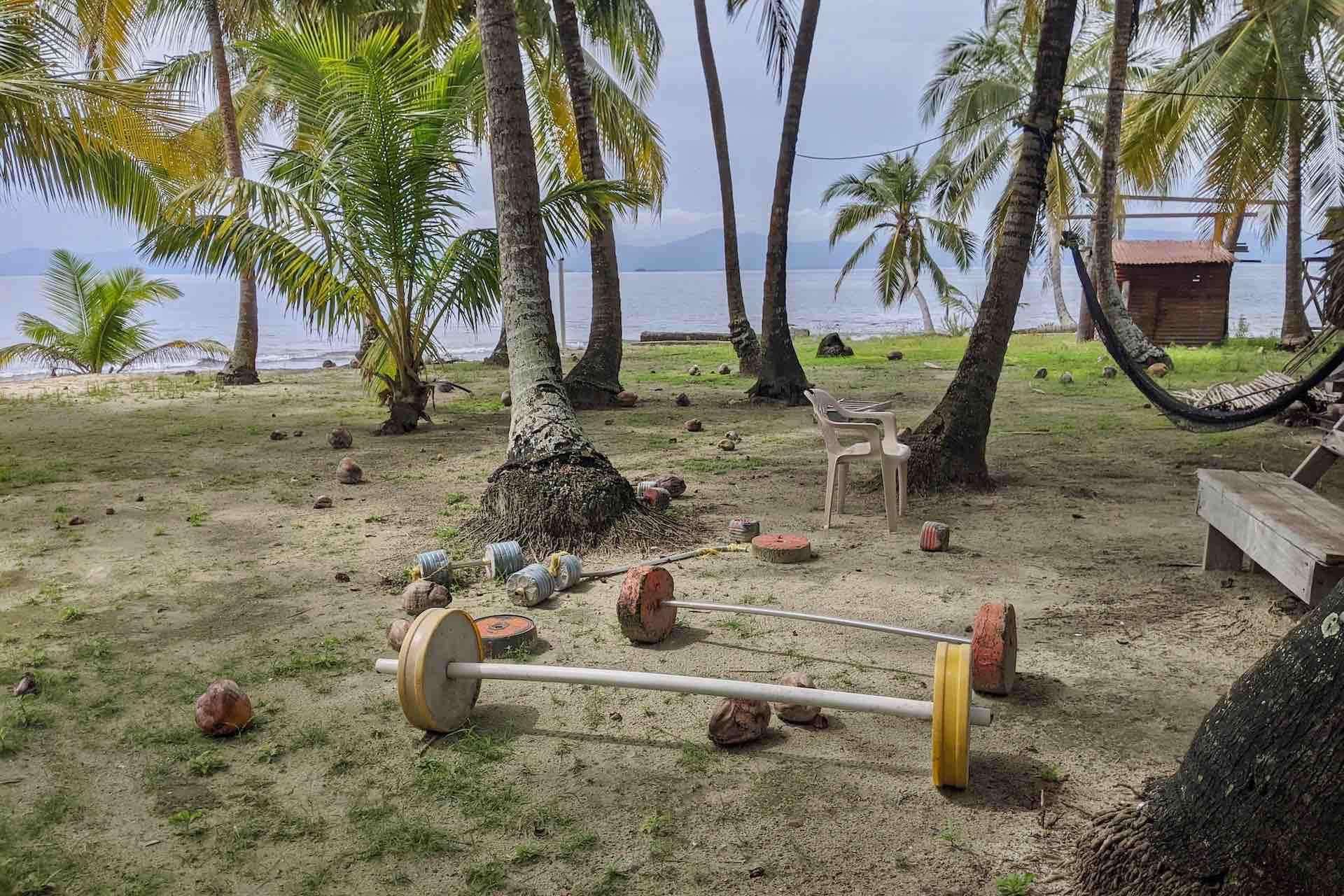 Galería de fotos para redes