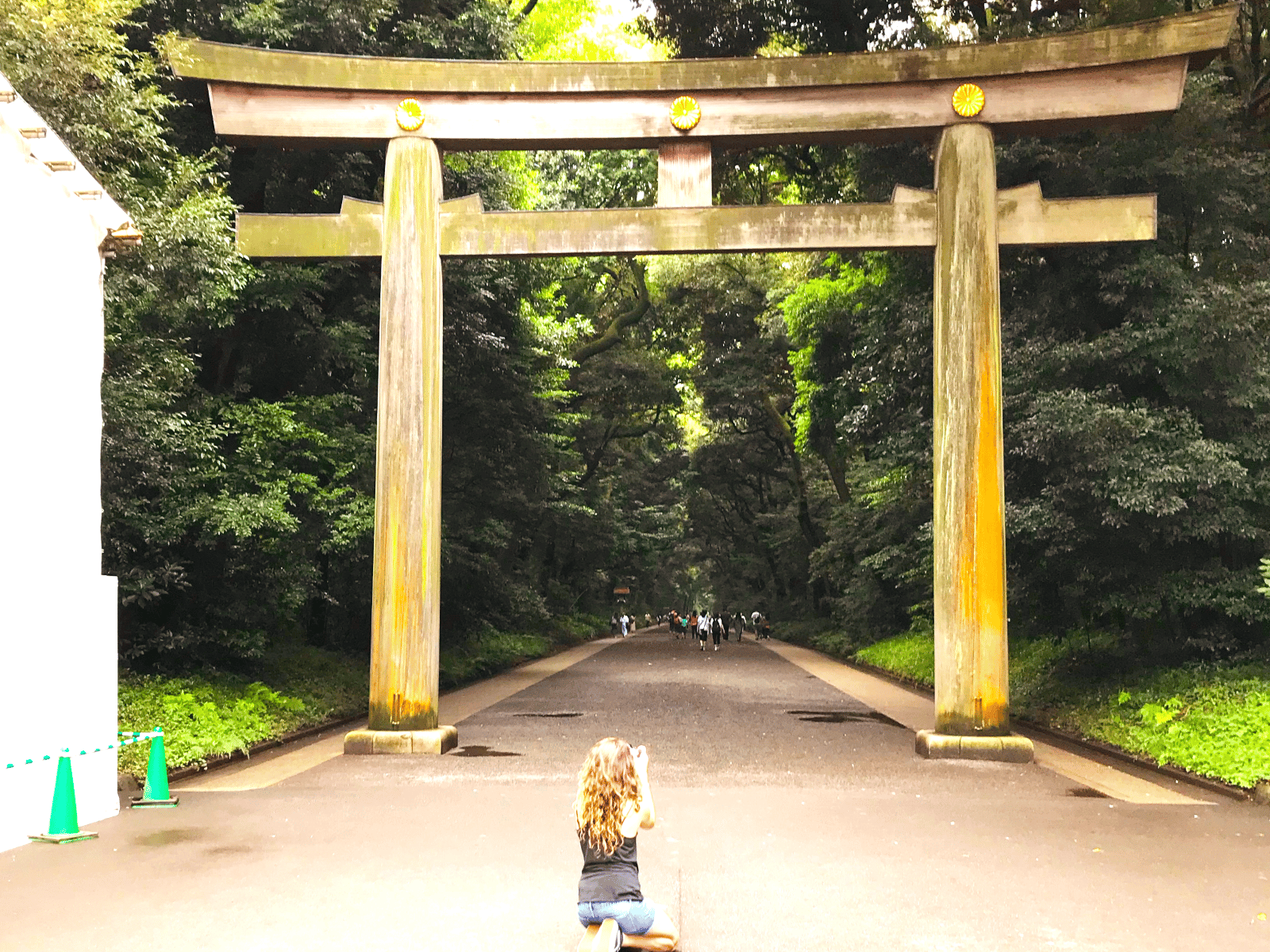 メディア コラージュ