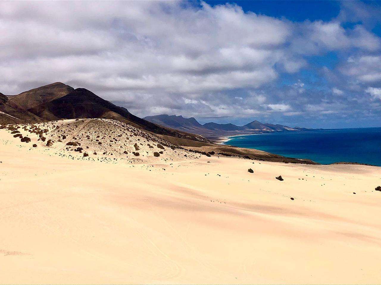 Galería de fotos para redes