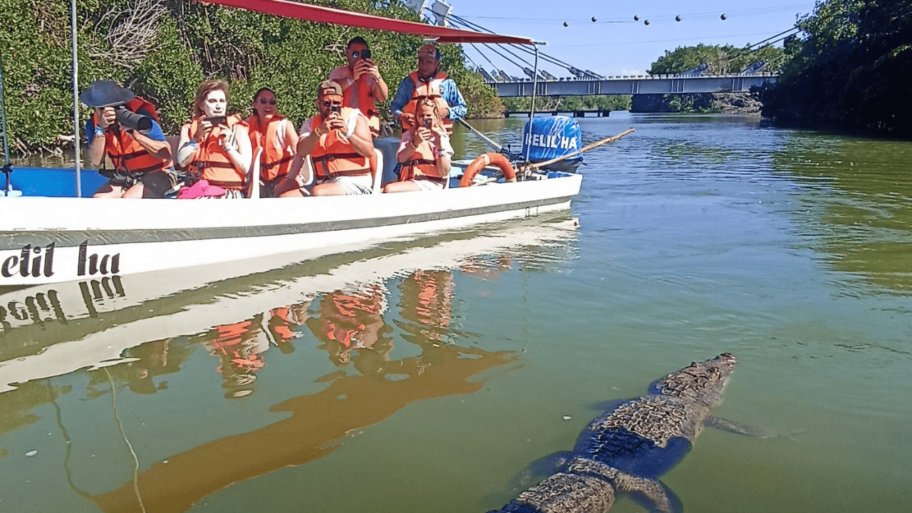 Colagem de mídia