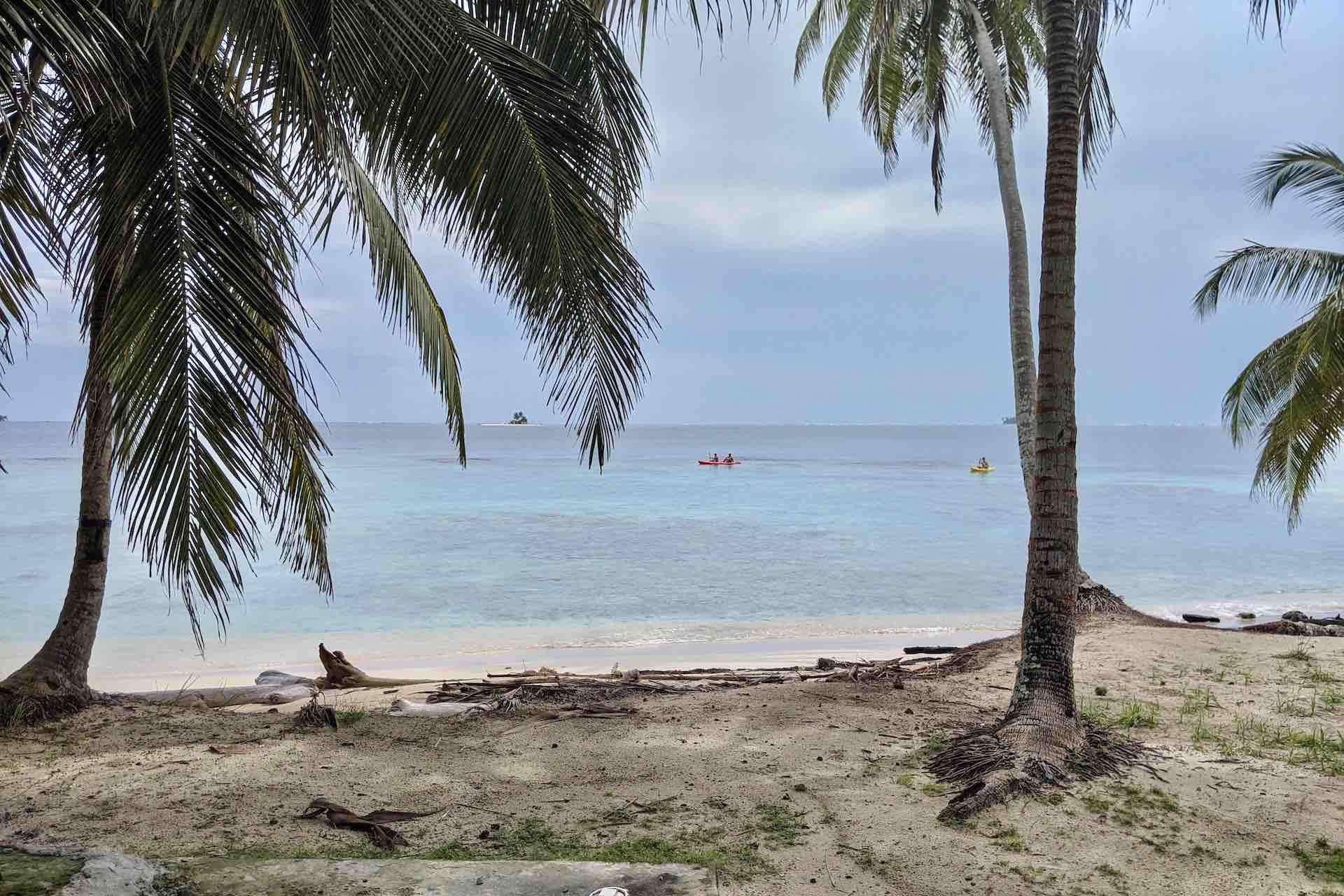 Galería de fotos para redes