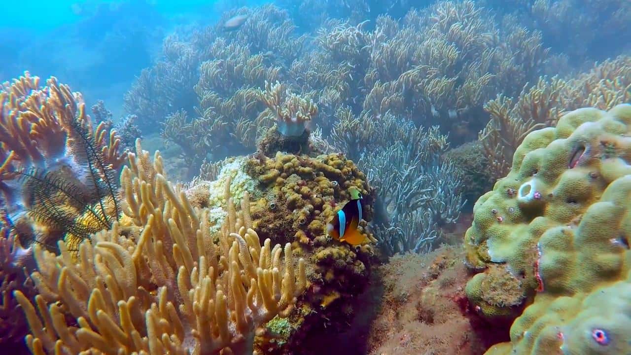 Galería de fotos para redes
