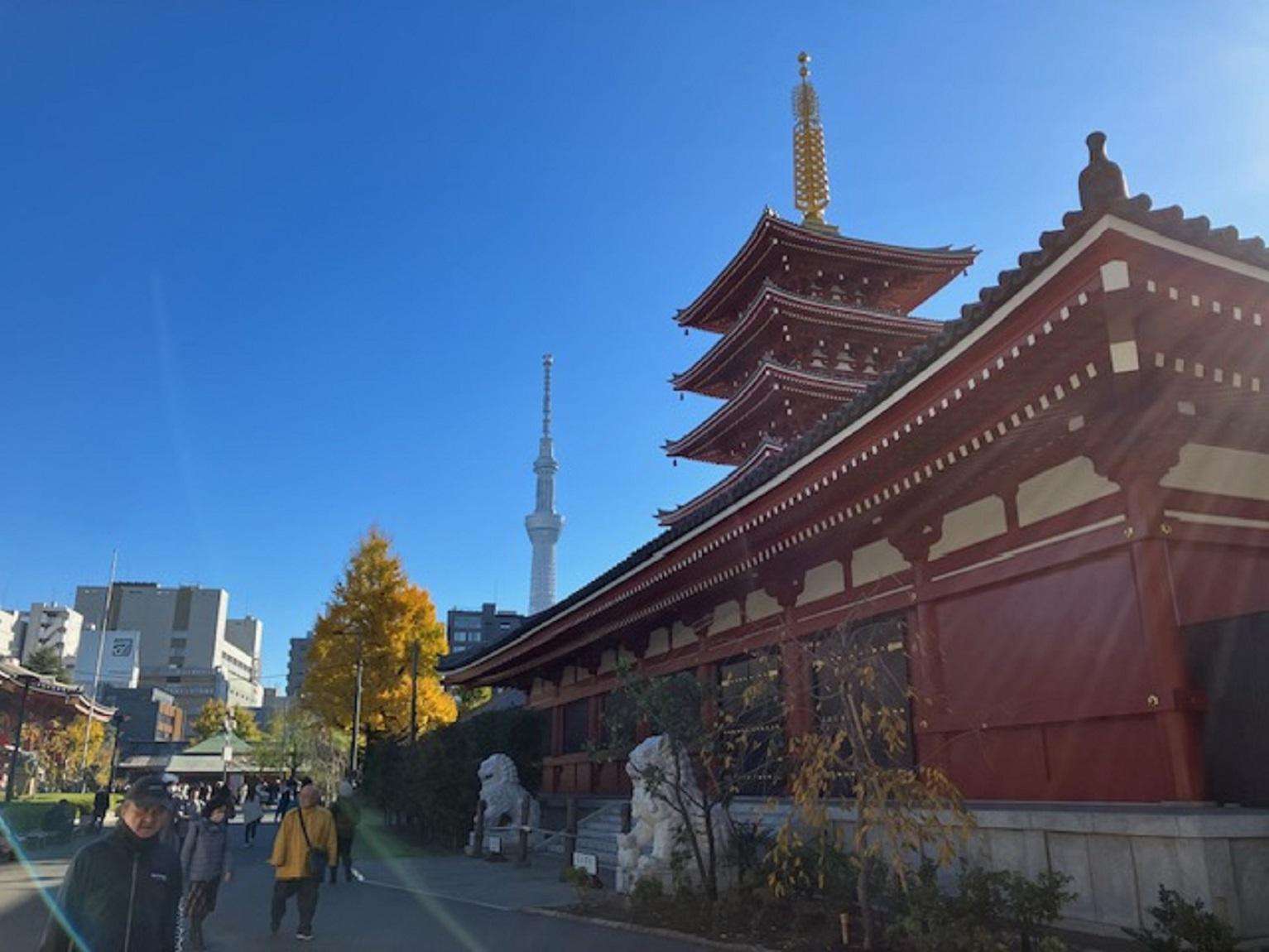 メディア コラージュ