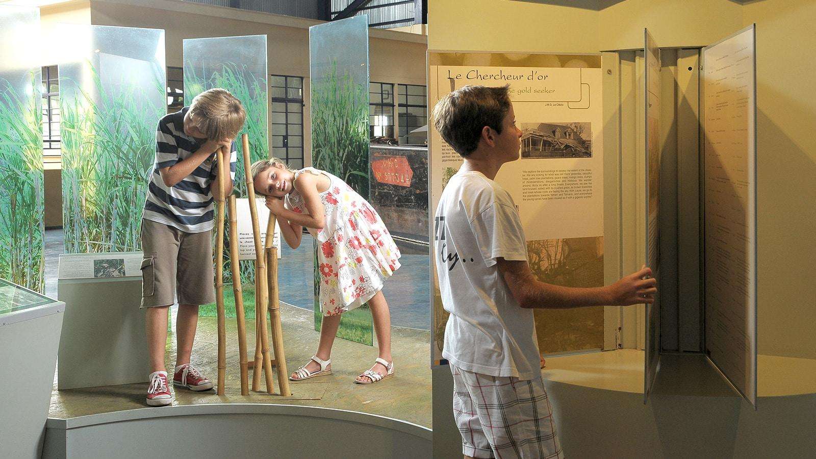 Galerie média