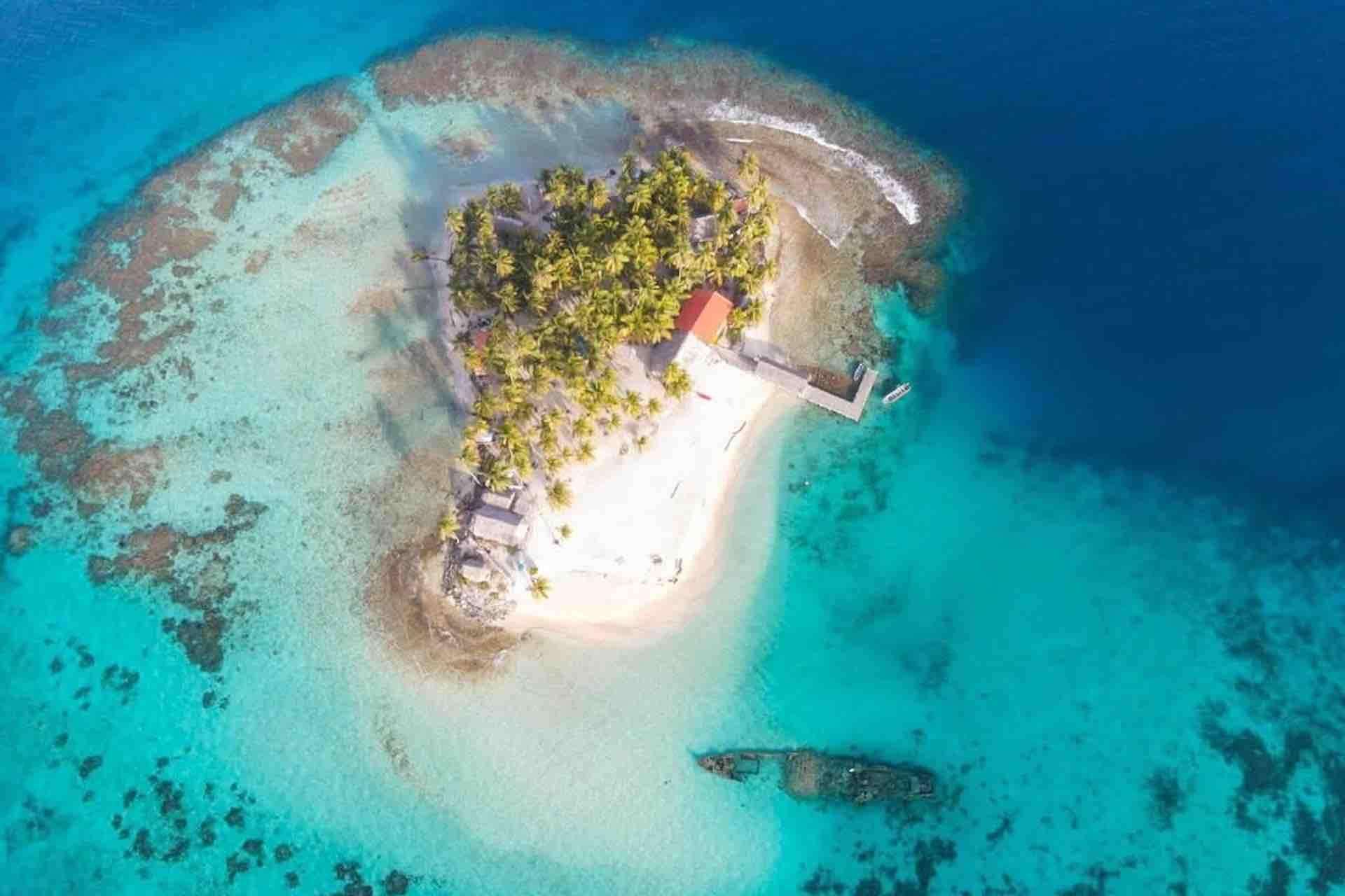 Galería de fotos para redes