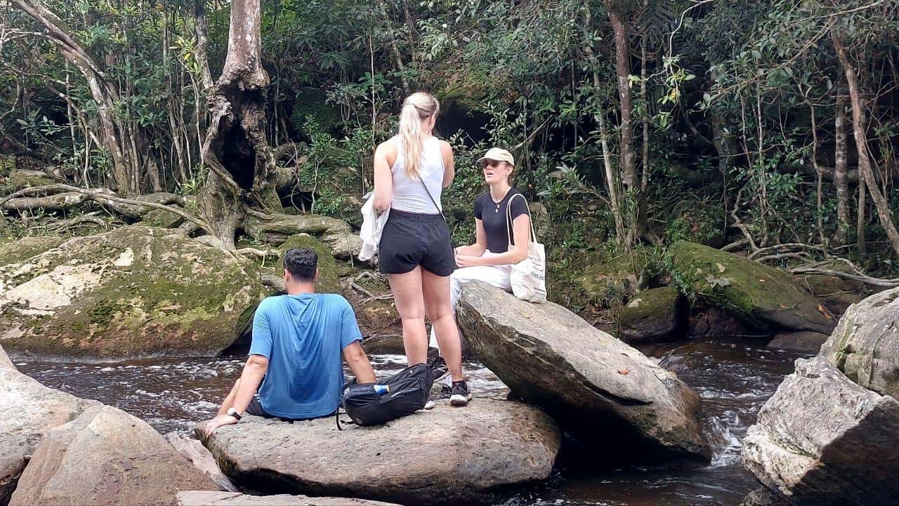 Colagem de mídia