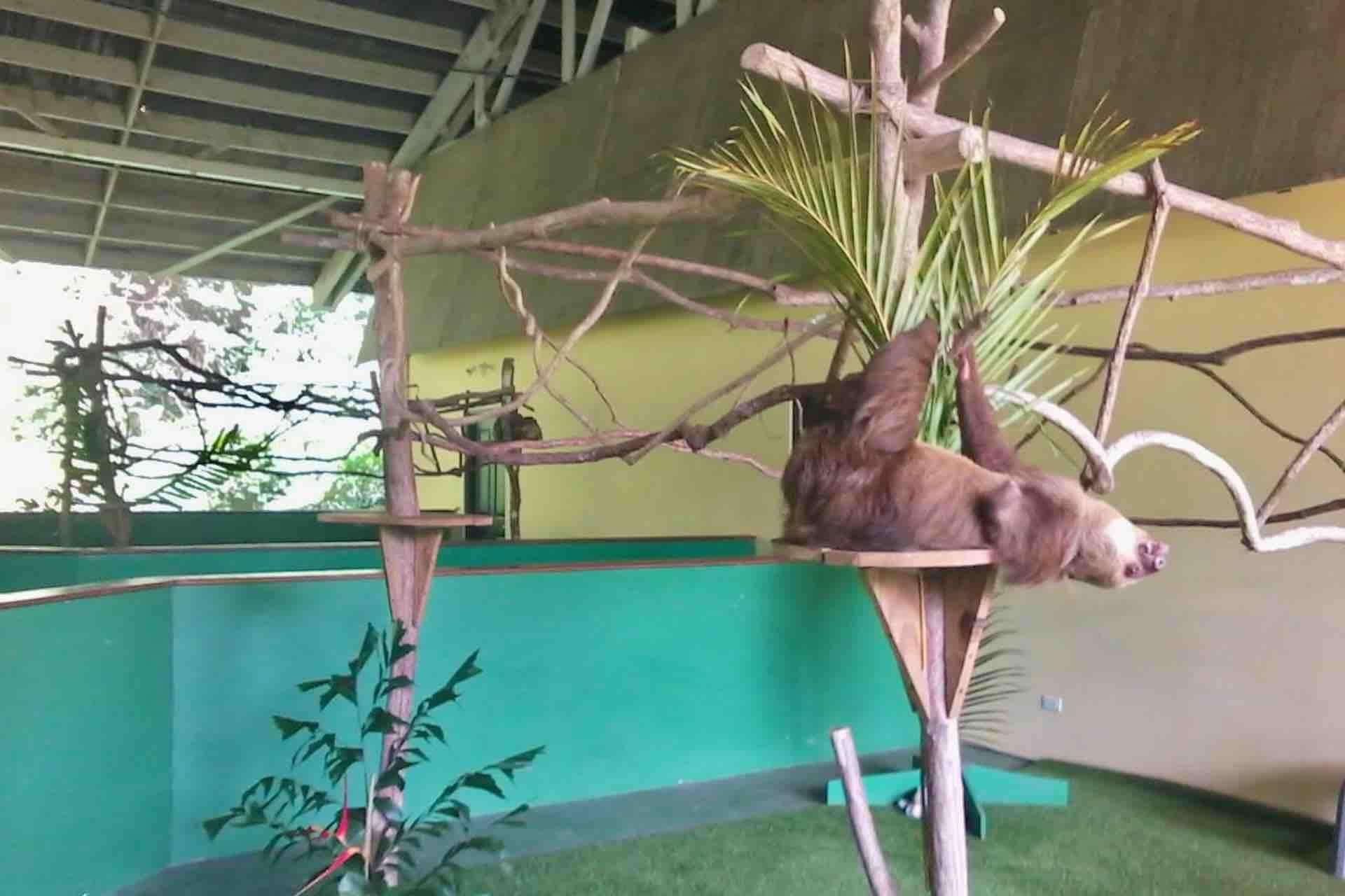 Colagem de mídia