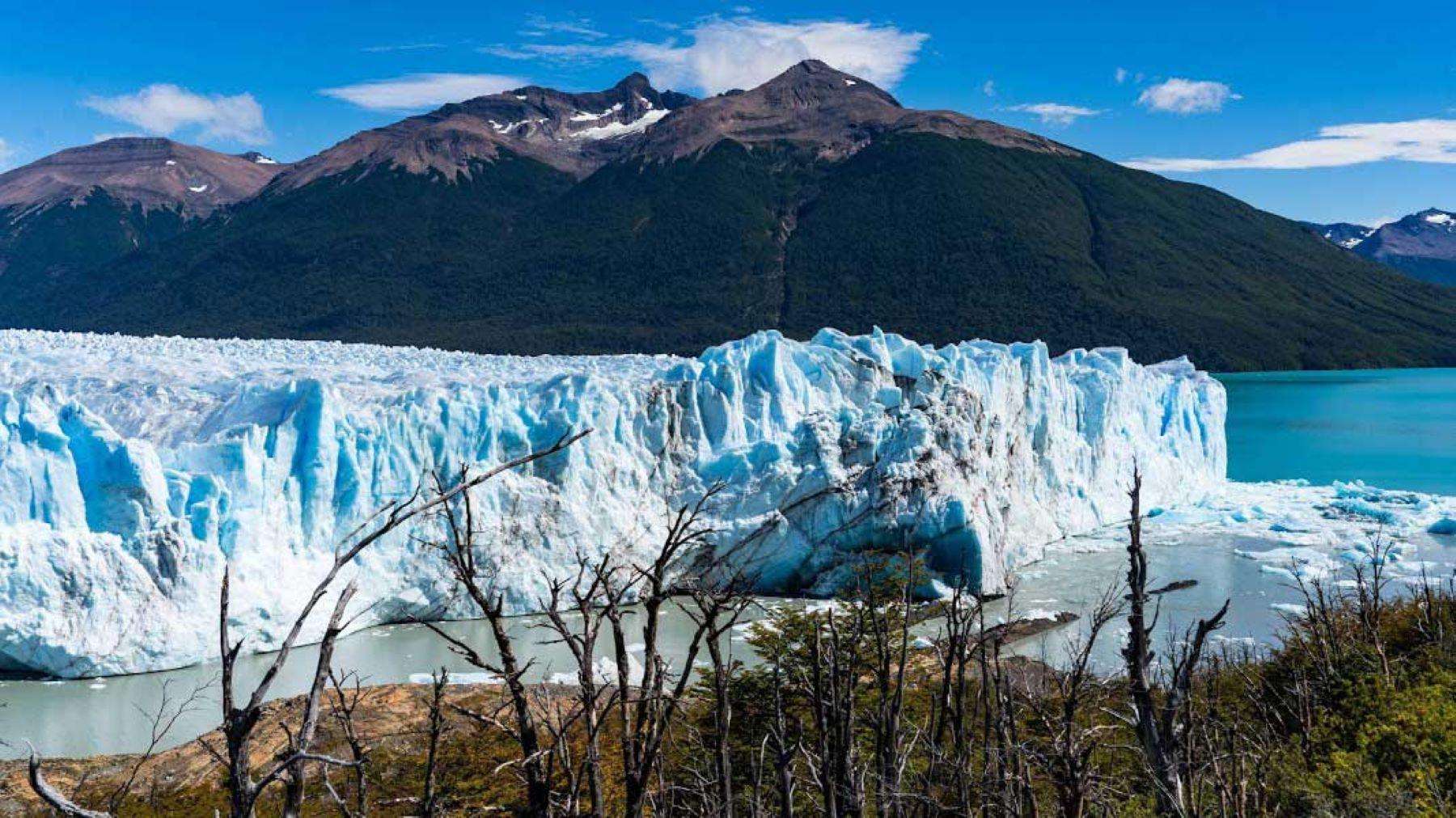 Galería de fotos para redes