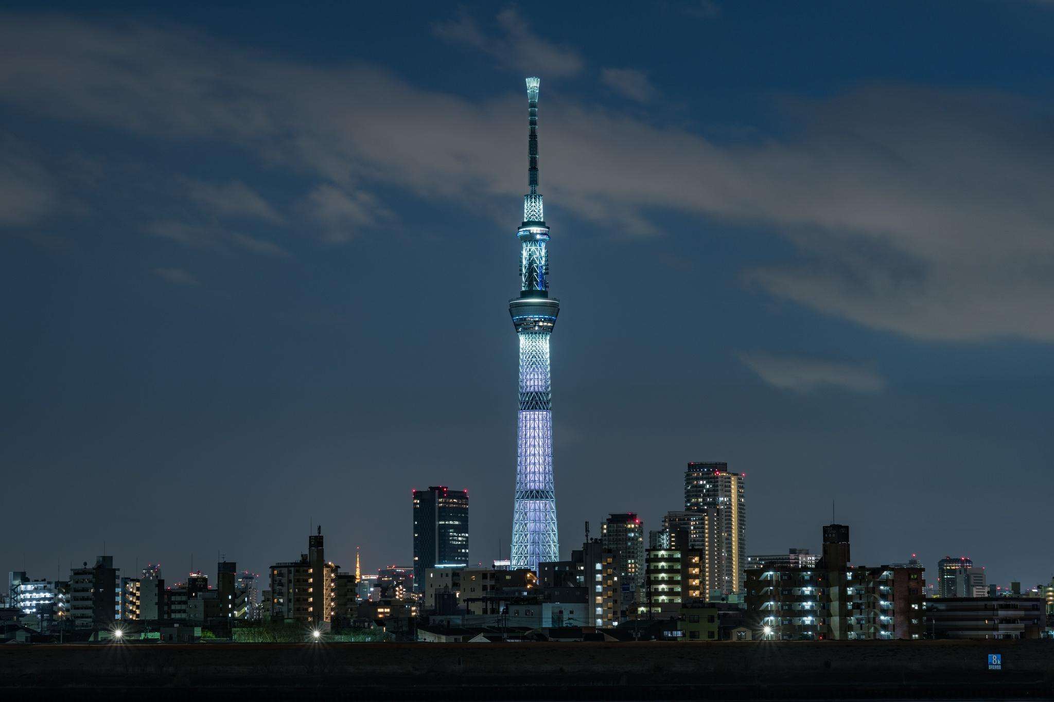 メディア コラージュ