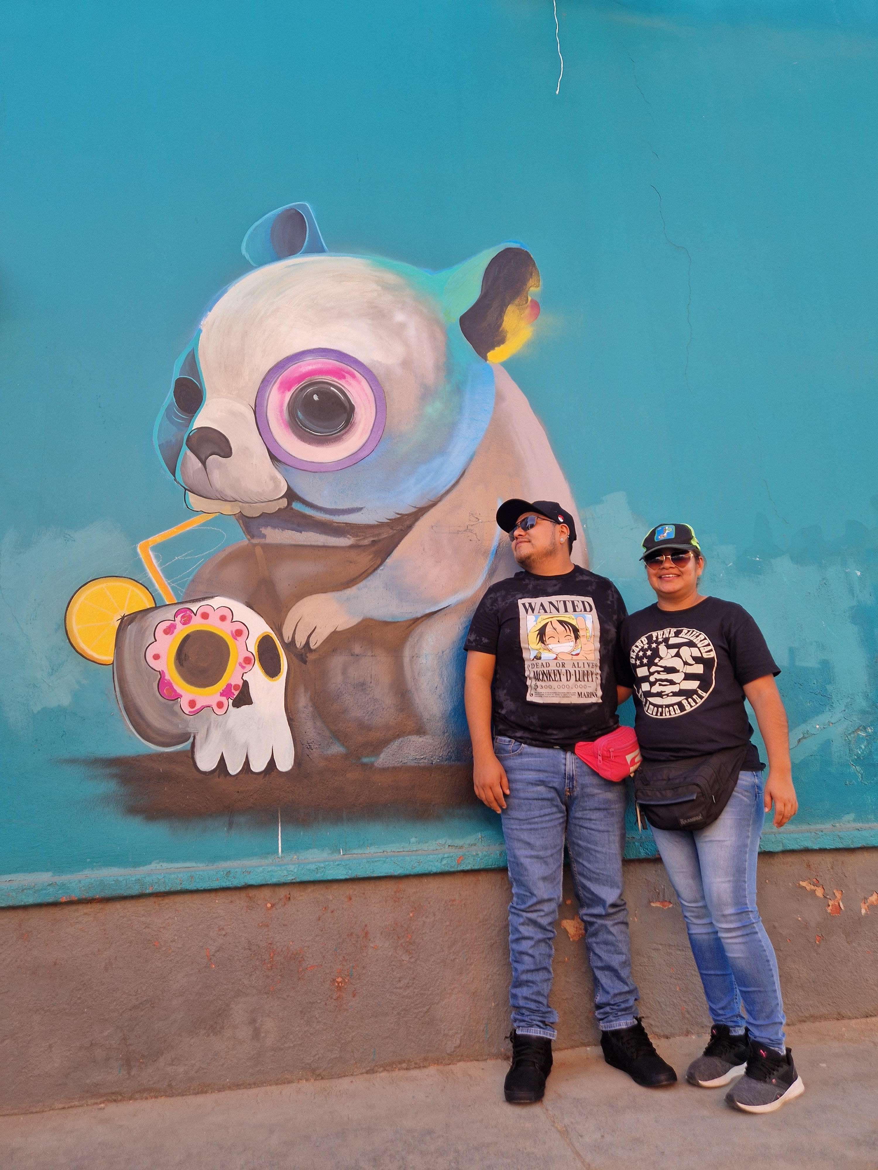 Galería de fotos para redes