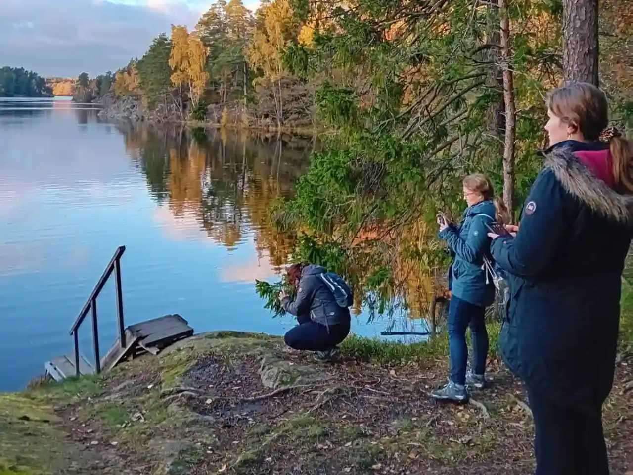 Mediacollage