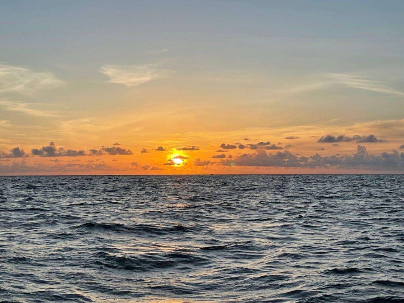 Tampa Bay sunset cruise past celebrity homes and wildlife